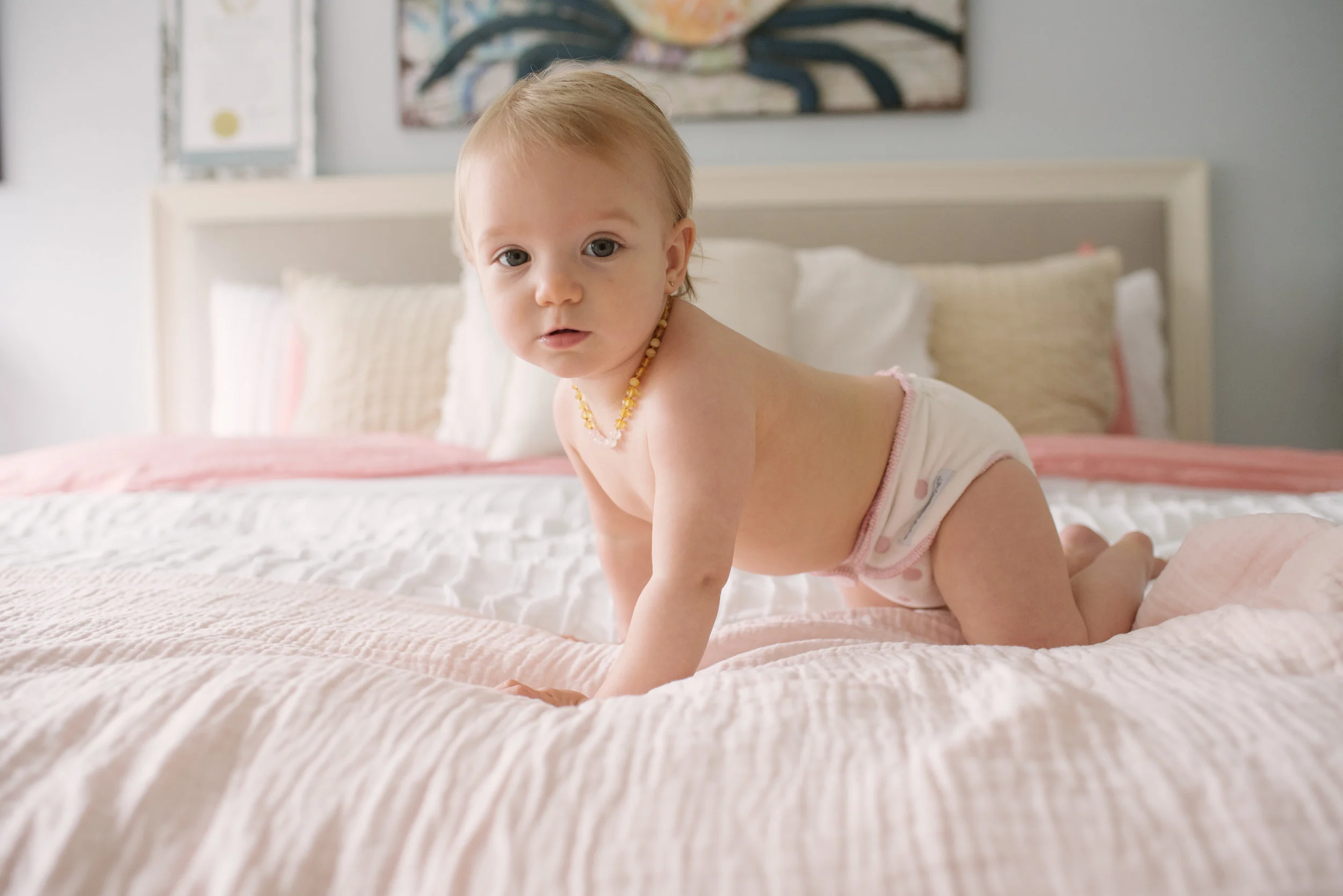 Eloise One Year by Rockport Family Photographer Mae Burke-4.JPG