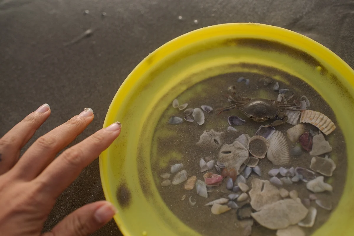Everyday Moments in June by Rockport Family Photographer Mae Burke-22.JPG