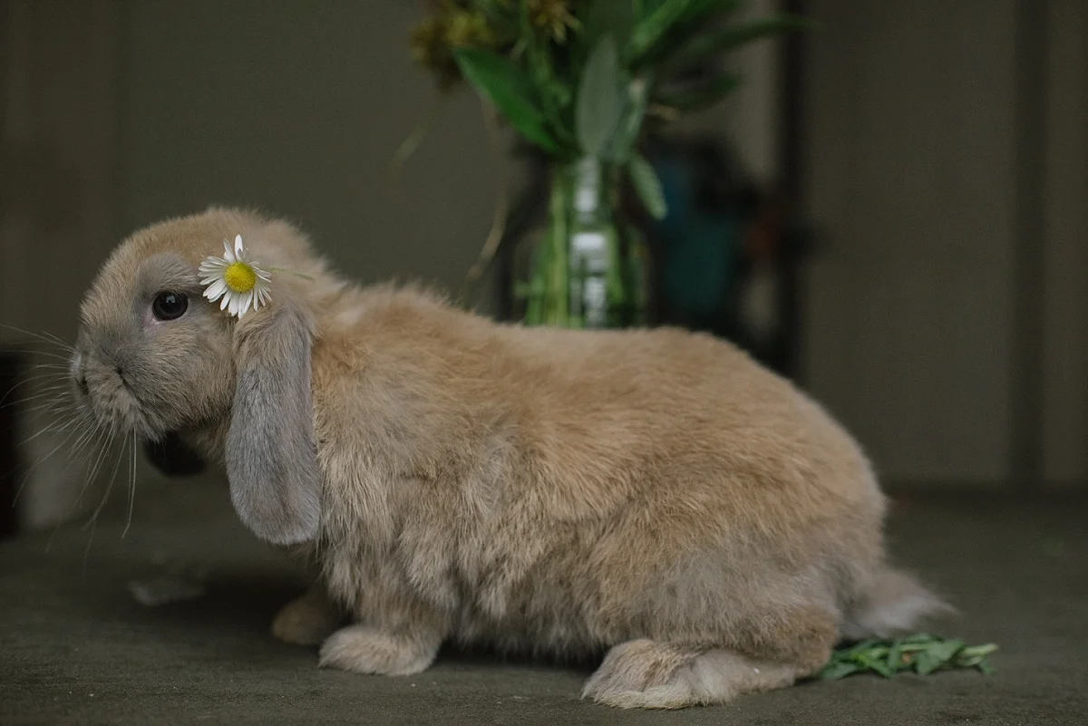 Everyday Moments in May by Mae Burke-41.JPG