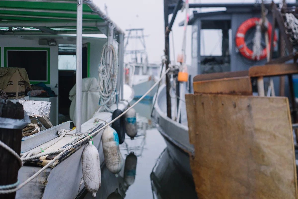 Everyday Moments by Rockport Family Photographer Mae Burke-2.JPG