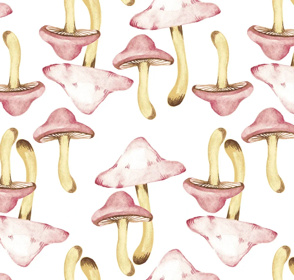 image-asset (31).webp