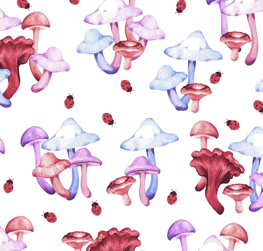 image-asset (30).webp