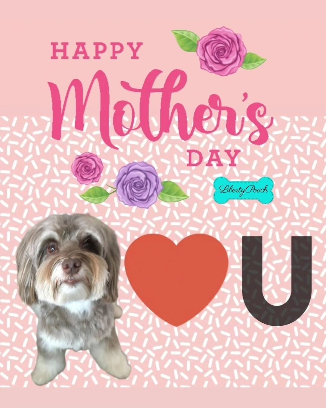 Happy mother's day to all the the strong, caring, and loving mama's of babies with fur or otherwise! We appreciate you for all you do for us, your sacrifice, and unconditional love. We celebrate you today and every day!