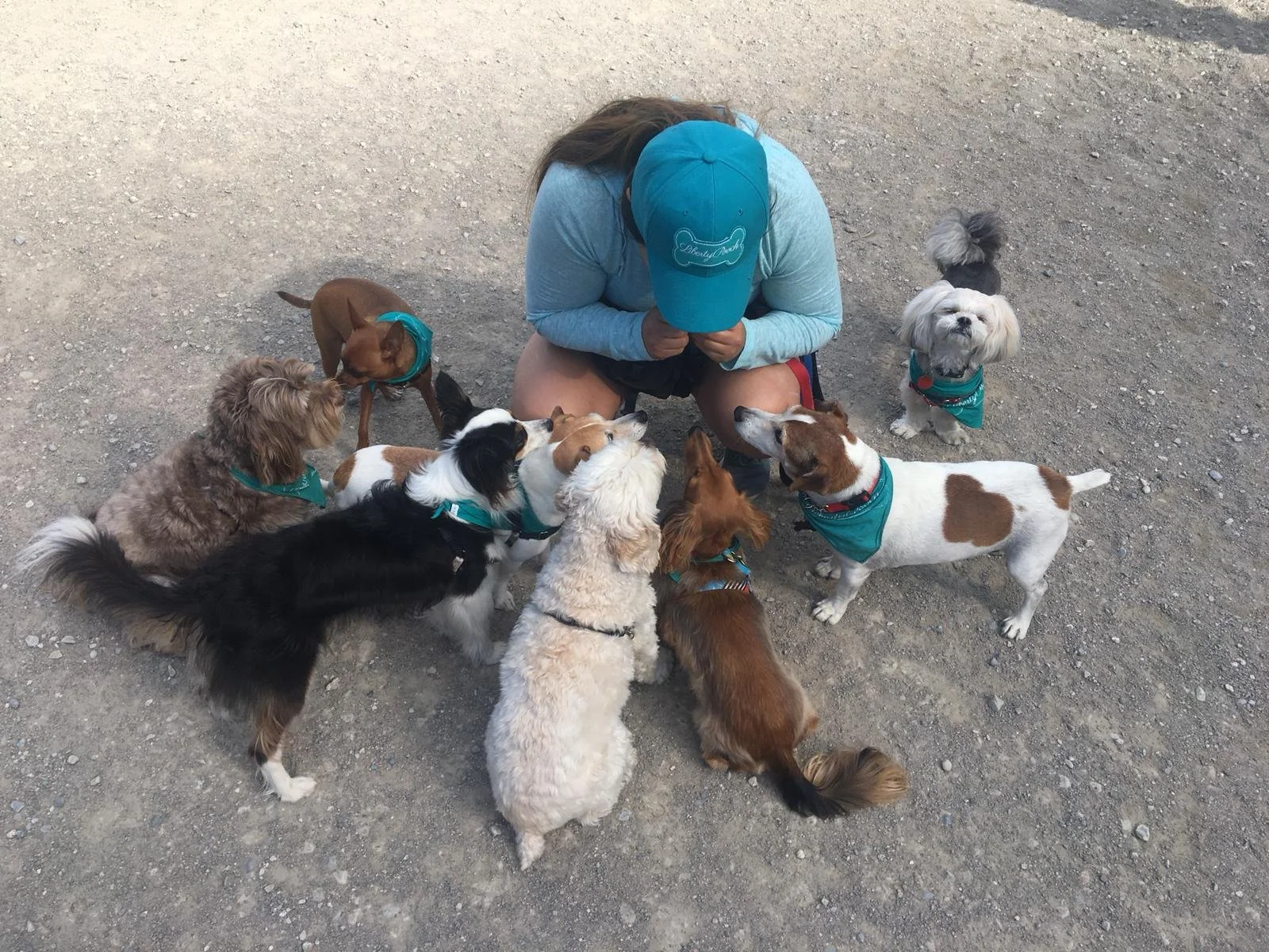 Liberty Pooch turns 10!