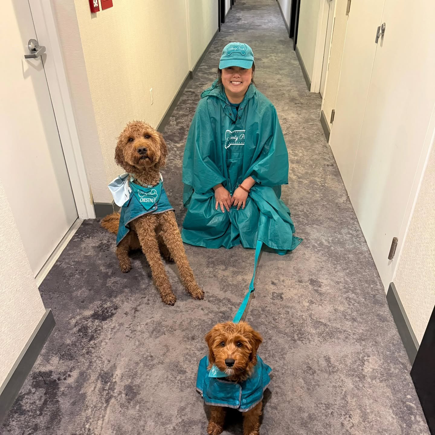 some call it branding; others OCD lol.  there is no denying that I love when things match:)
📸 #raingear #branding
#marketing
#smallbusinesslife
#dogloverfeed 
#doodleobsessed 
#ilovedoodles
#dogsdogsdogs 
#libertyvillagedogs 
#torontodogwalker 
#dog