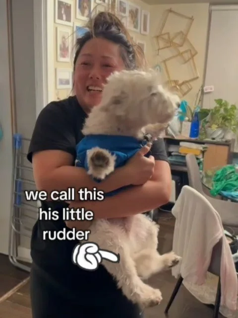 im so sad every time one of mh dogs move away :( ive been taking care of arti for 7 years. He just moved over the weekend and i already missed him so much when he came to visit me a couple days later #sosad #bittersweet #goodbyes #westiegram
#happydo