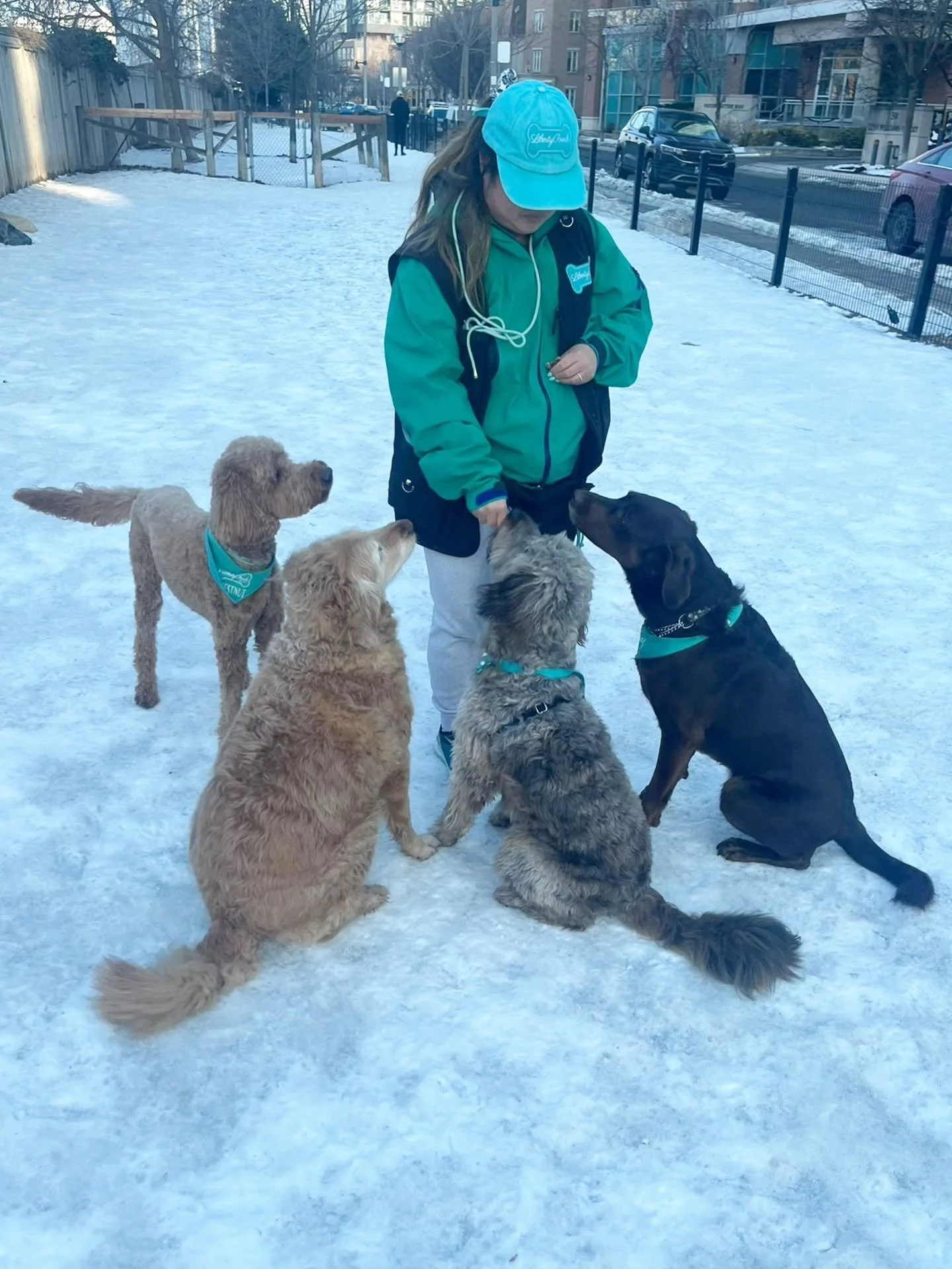 I think im a dog walker, they think im a treat dispenser #idonthateit #dogwalker #dogsquad #dogsoftheday #doggos