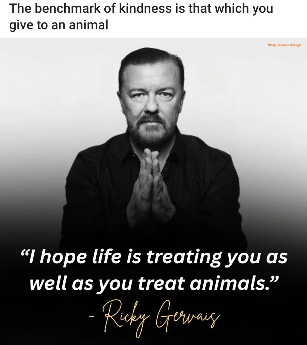They say the true test of a person's character is often revealed by how they treat those who can offer them absolutely no benefit or power.  The same applies to how they treat animals.  #animallover
#doglove
#bekind
#kindnessmatters 
#lovedogs