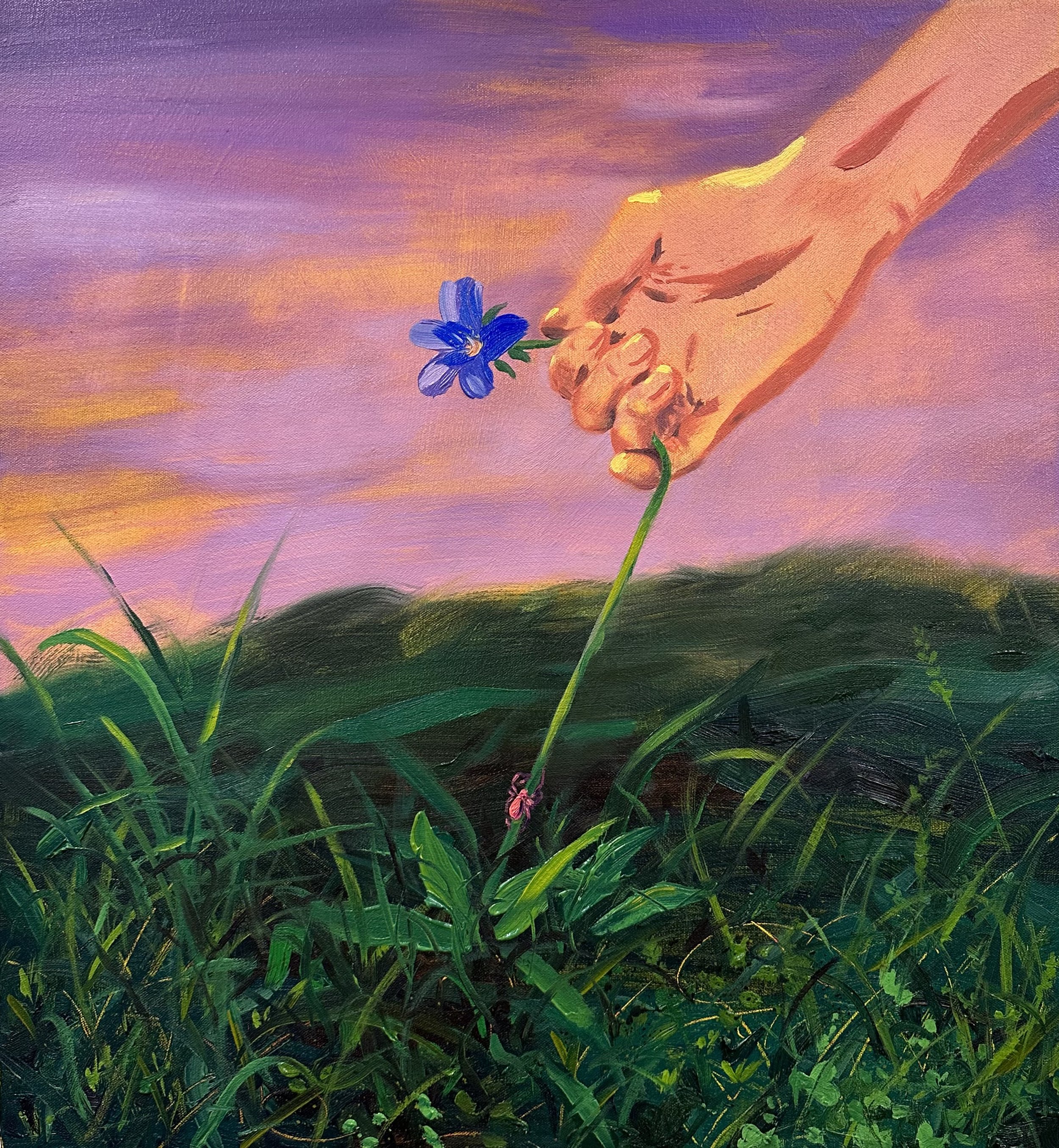   Last Flower   oil on canvas  24 x 20 inches  2023 
