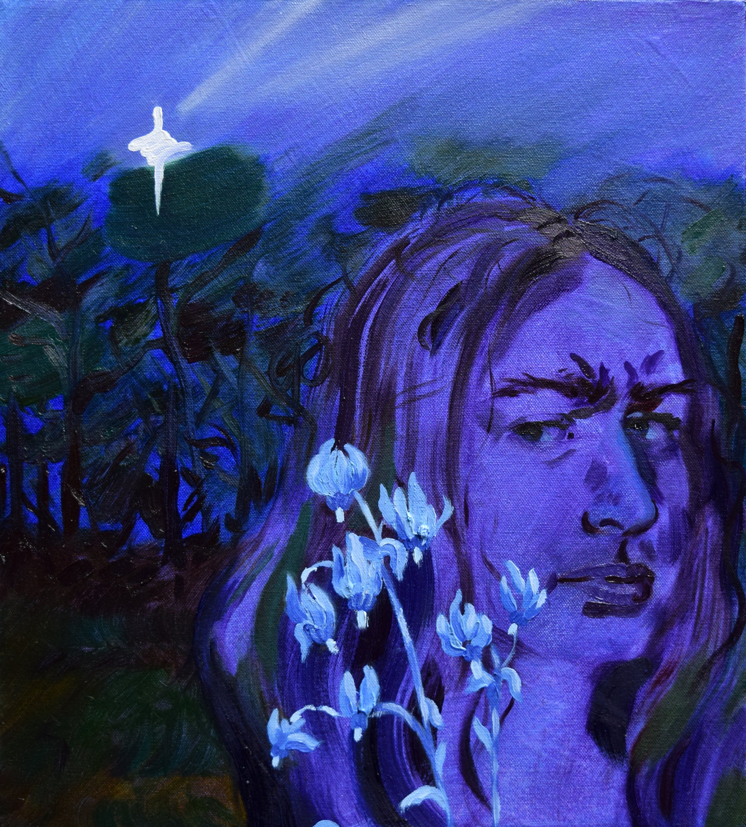   Shooting Star (Primula sect. Dodecatheon)    oil on canvas   24 x 20 inches  2024 