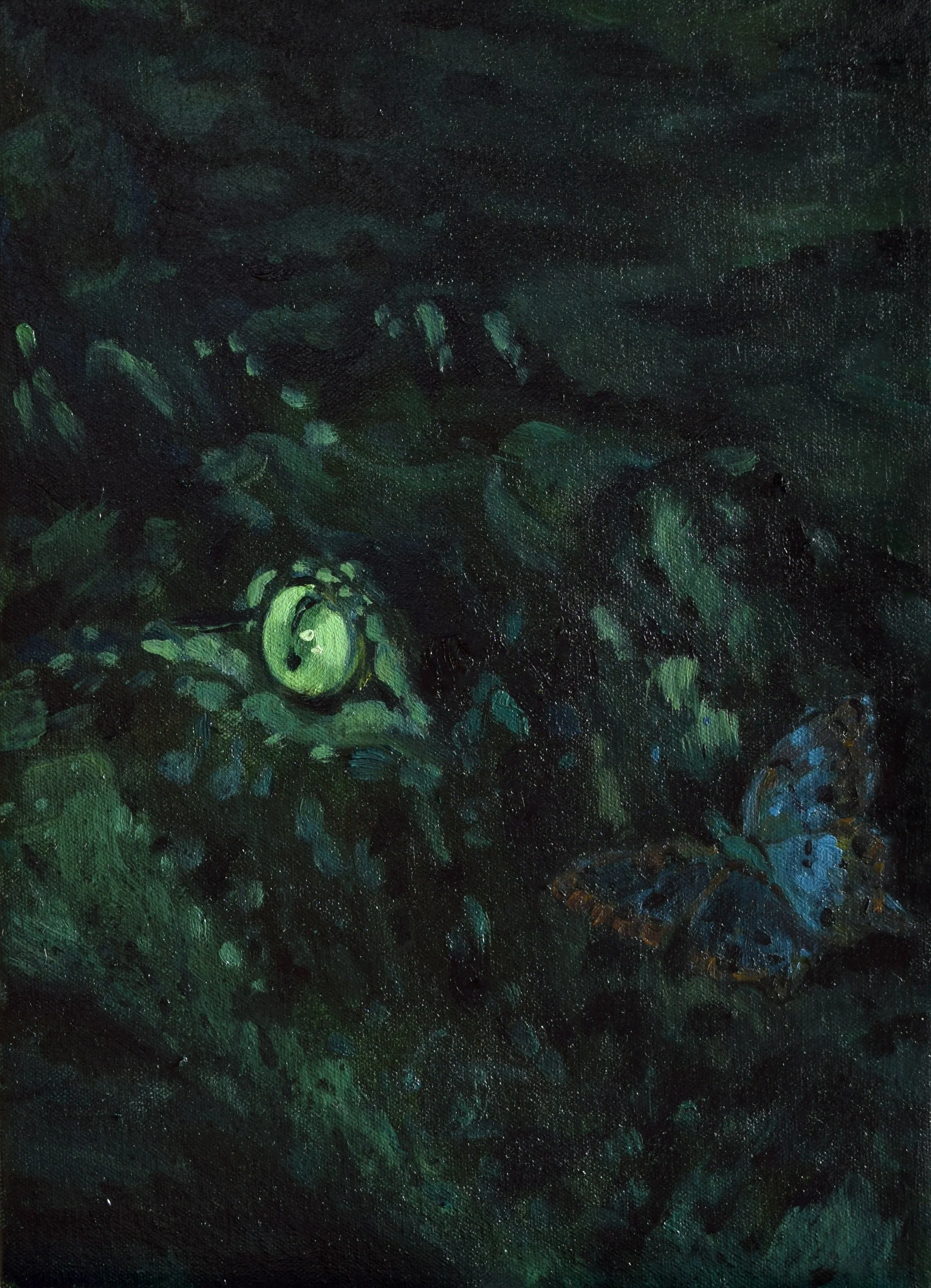   White Peacock Butterfly   flashe, dye and oil on canvas  14 × 10 inches  2026 