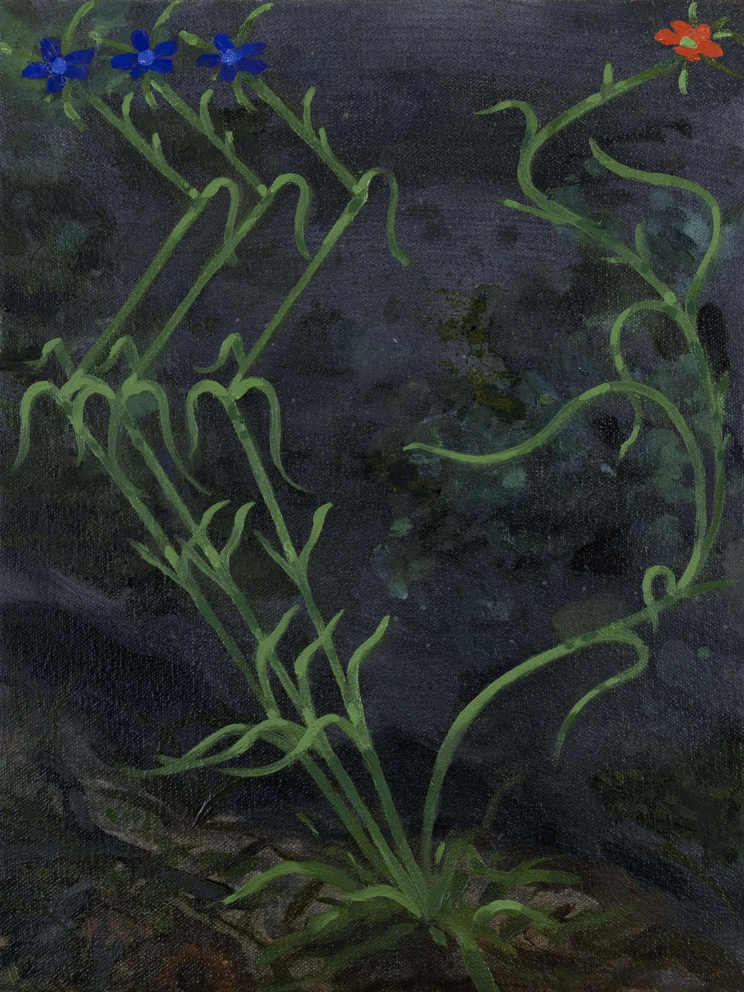   Picnic Flowers   flashe, dye, acrylic and oil on canvas  11 × 9 inches  2026 