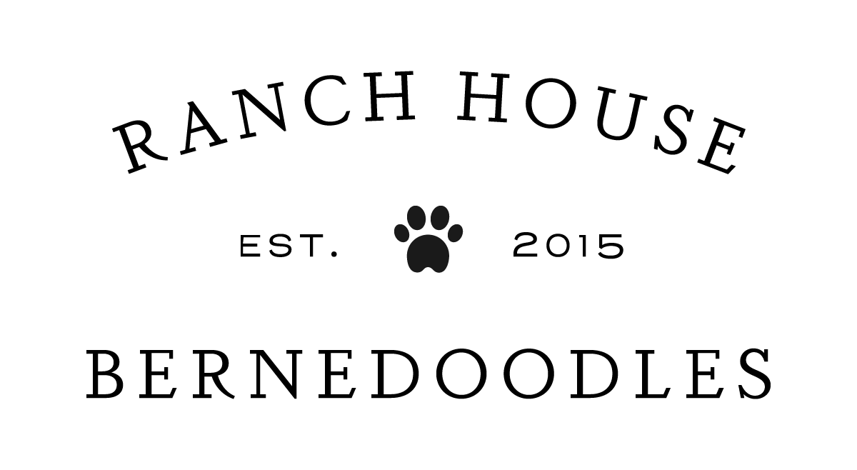 Ranch House Bernedoodles