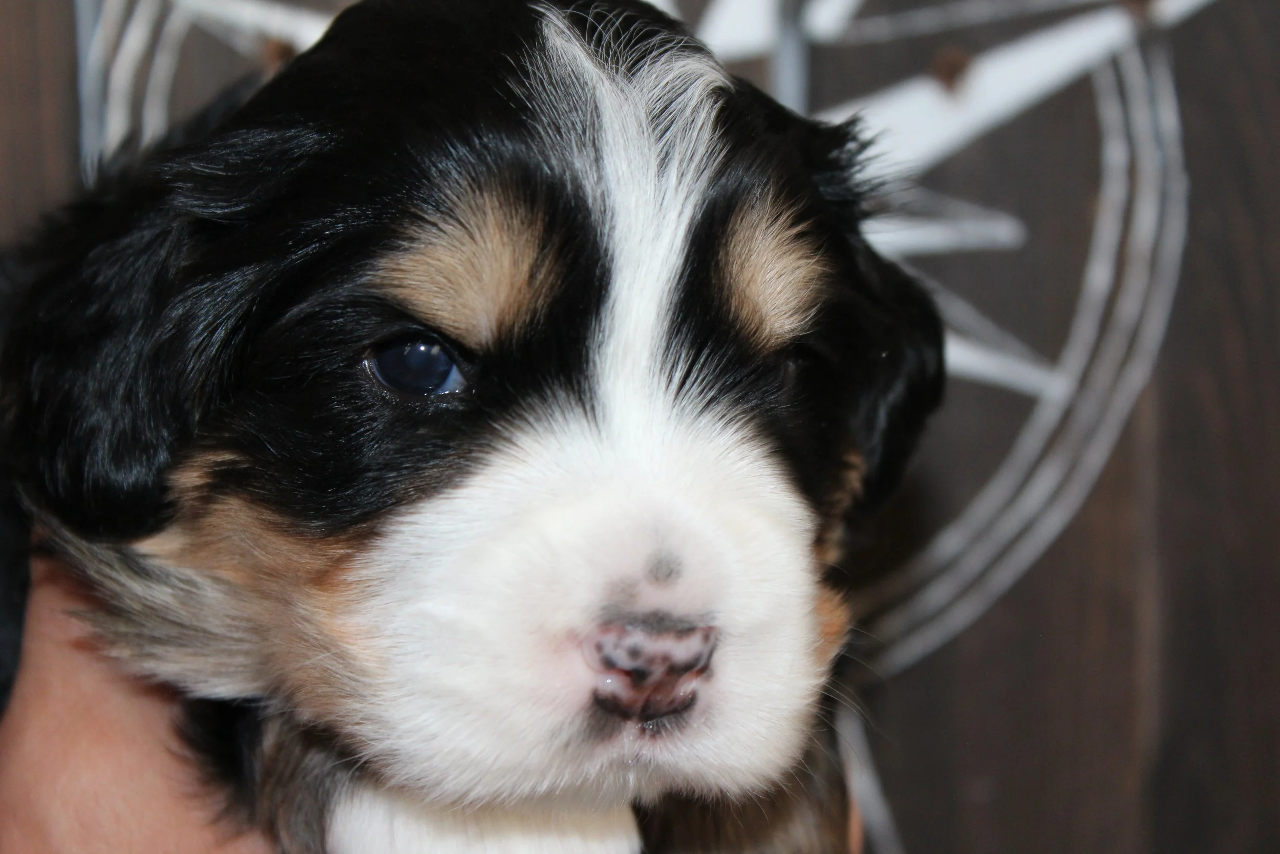   MIKE  :)    Boy - 3 weeks  