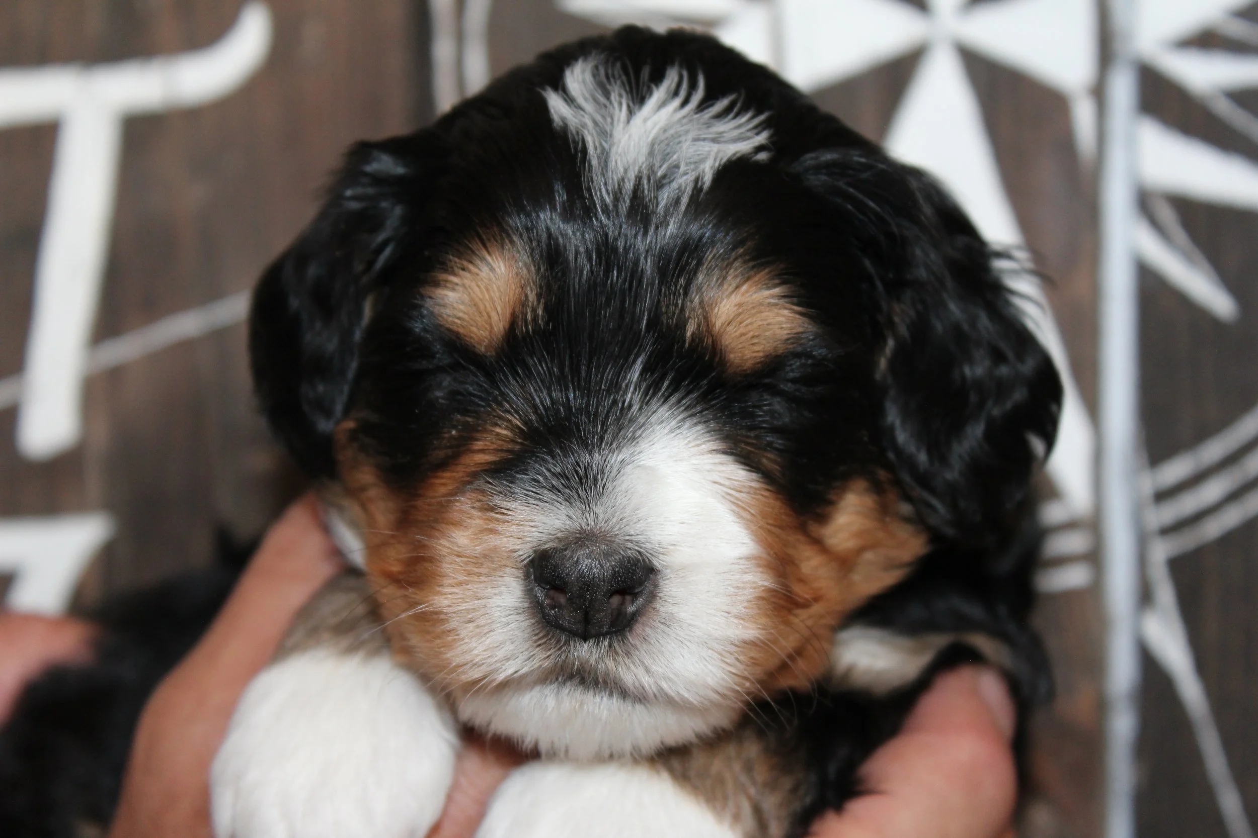   LINDA - 3 weeks!  