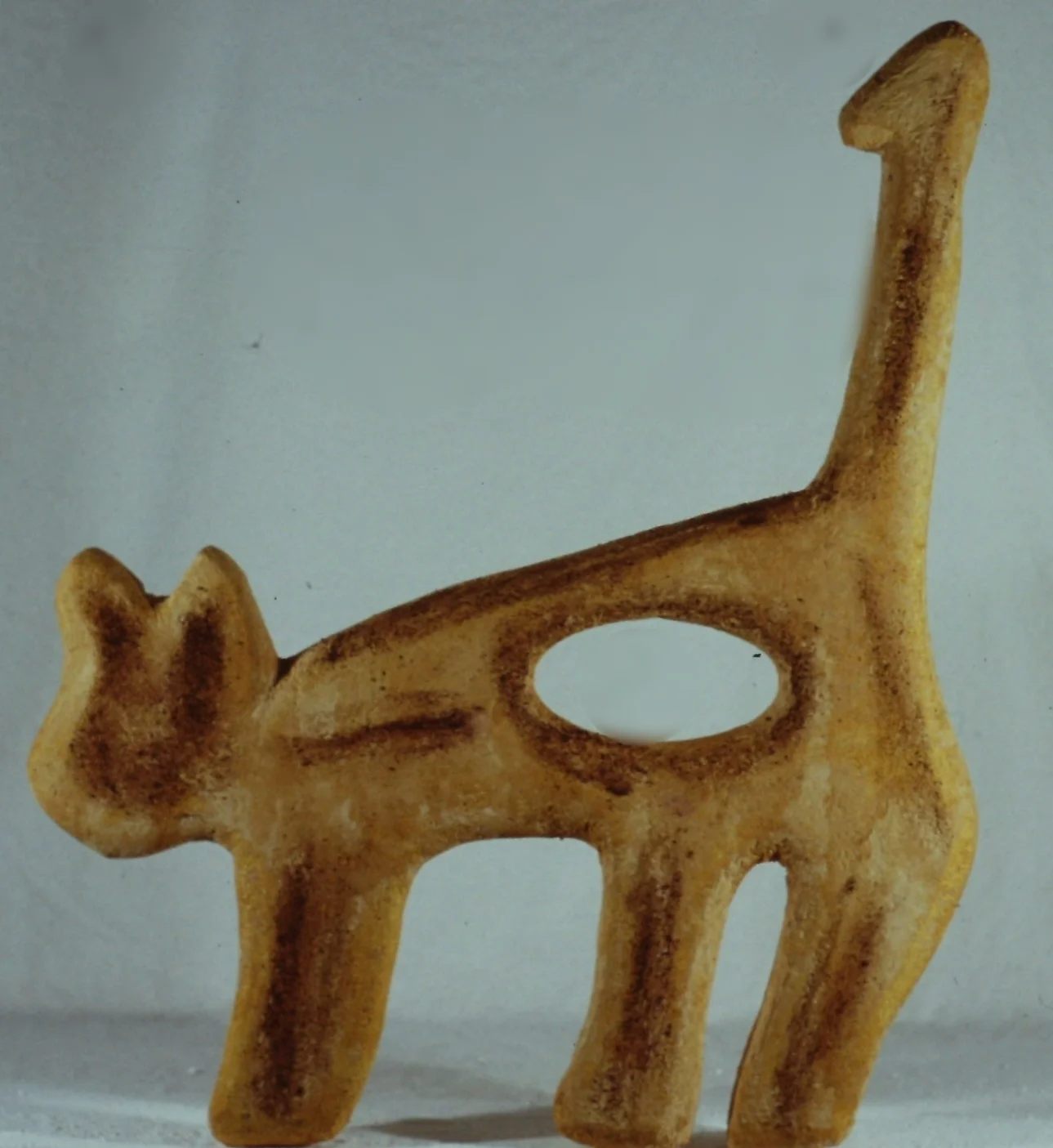 moore's cat - shellacked