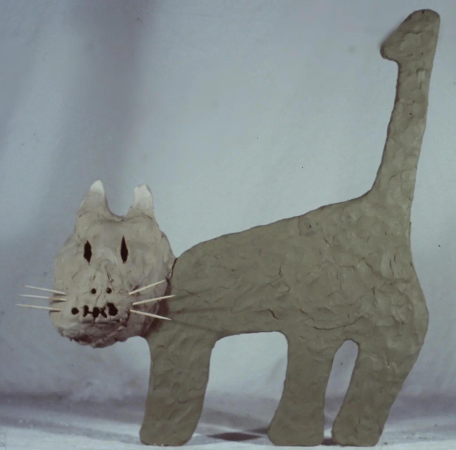 asaro mud cat