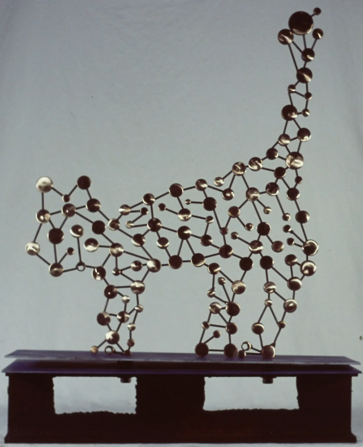 constellation cattus