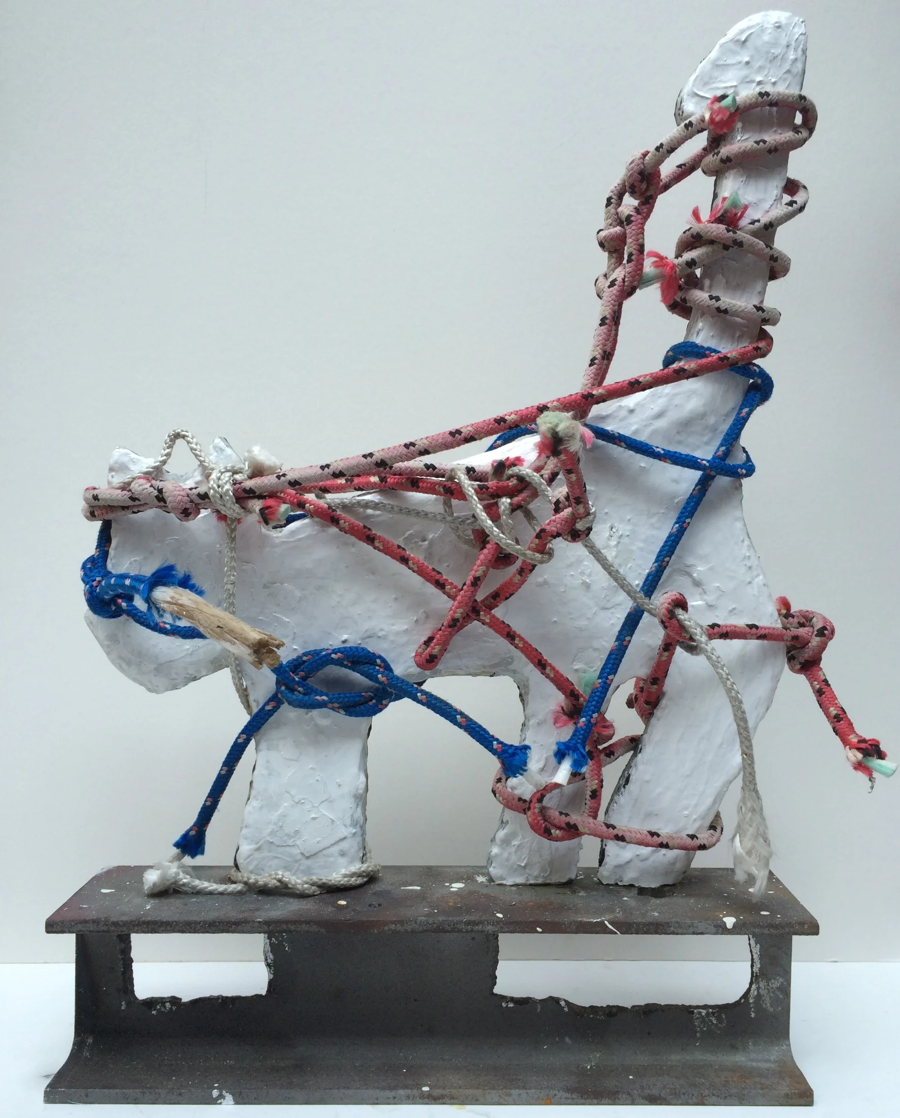 presidential election year