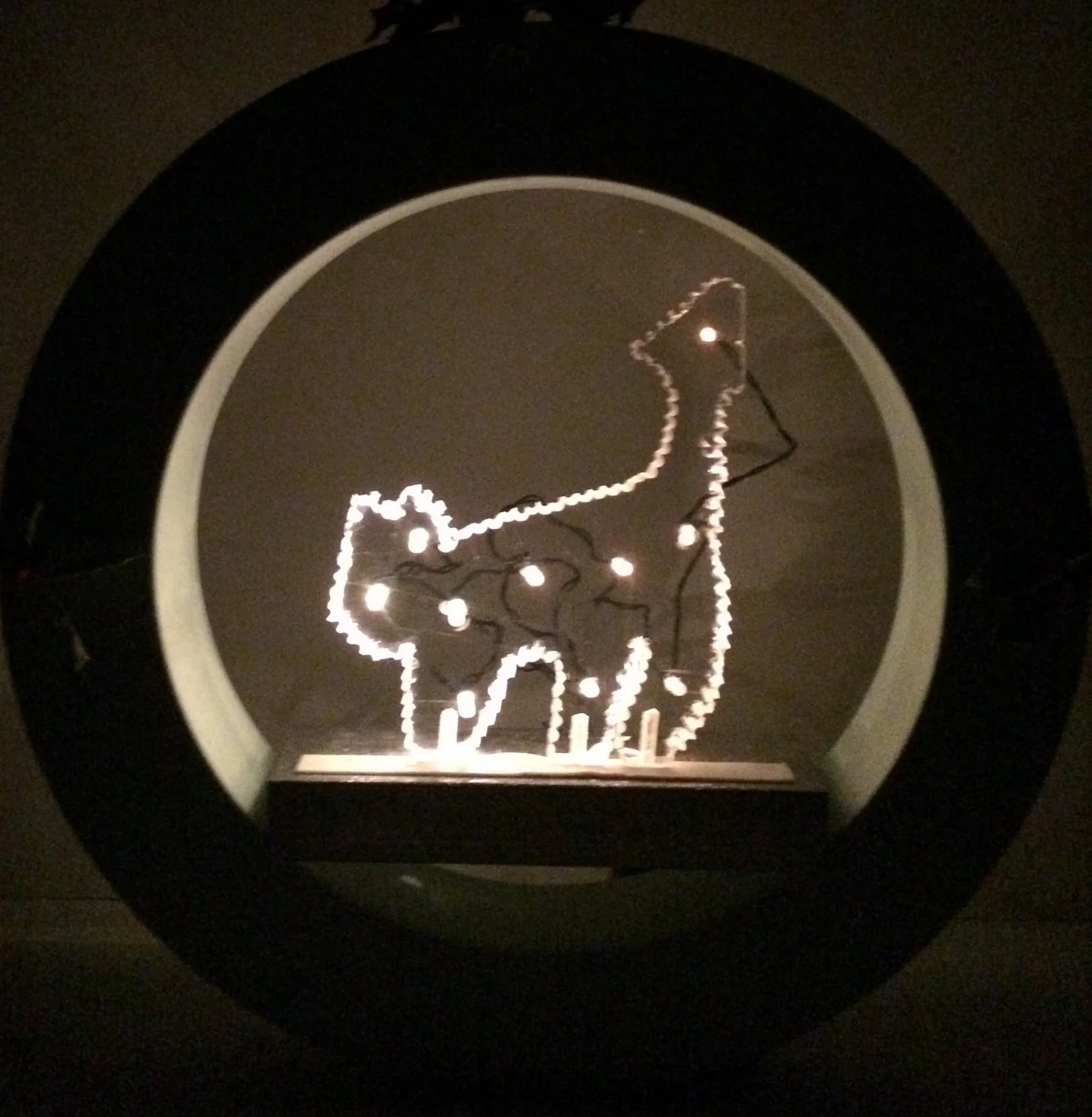 christmas 2016 ring (no flash)