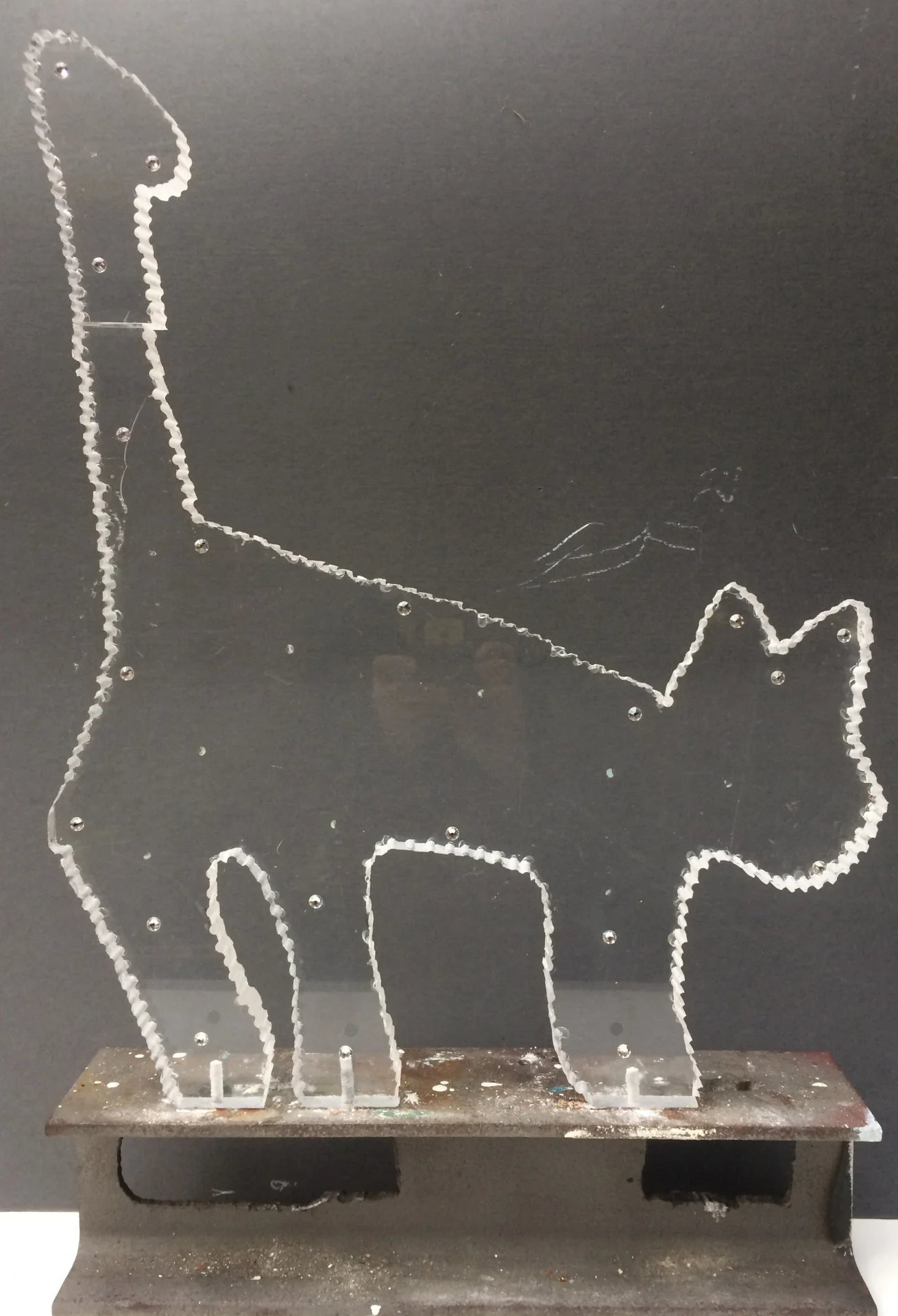 constellation of cat (night sky)