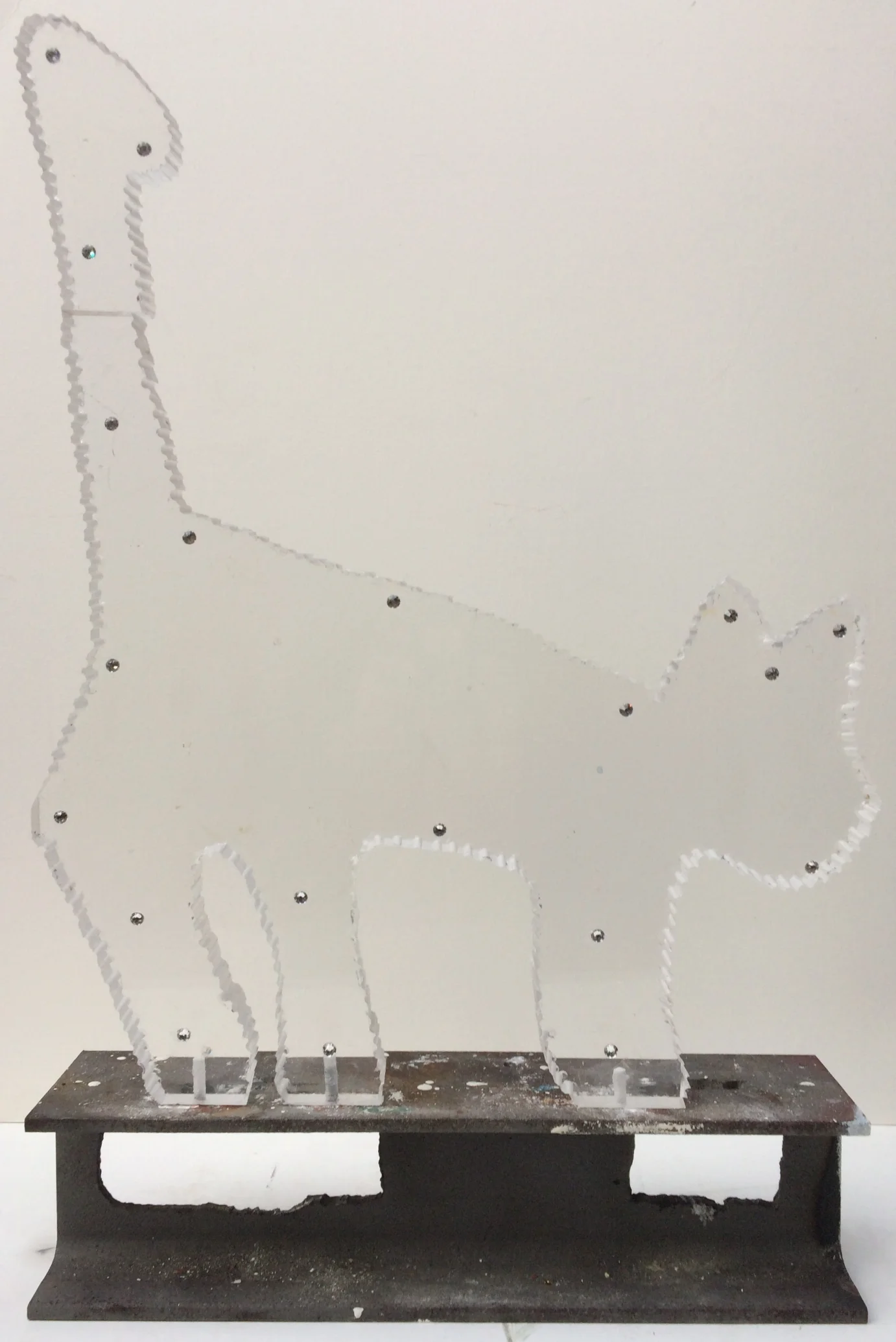 constellation of cat (negative of night)