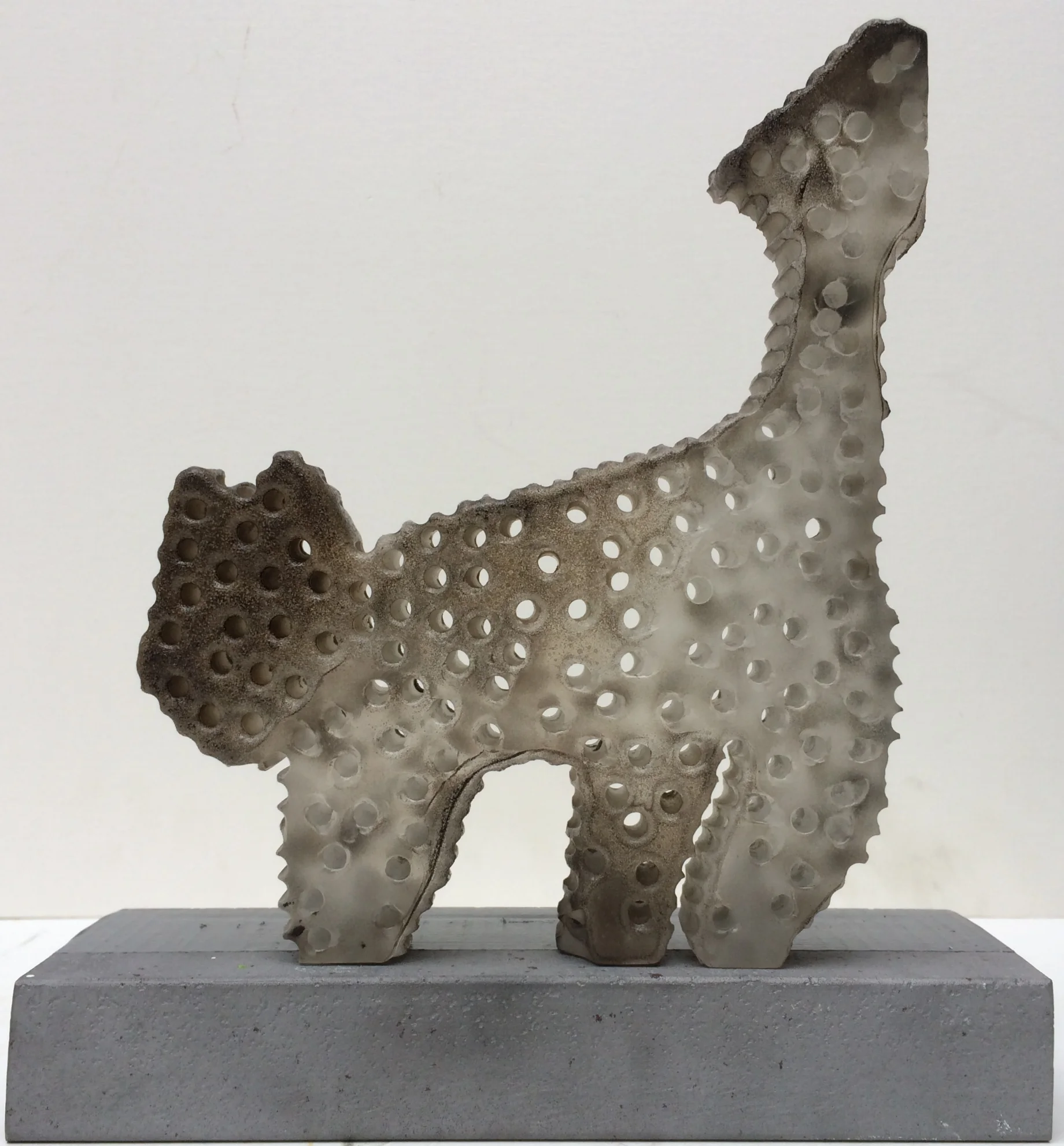 fox glacier, south island, nz