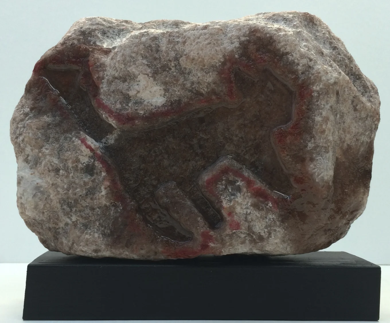 aerial view of sunfish pond