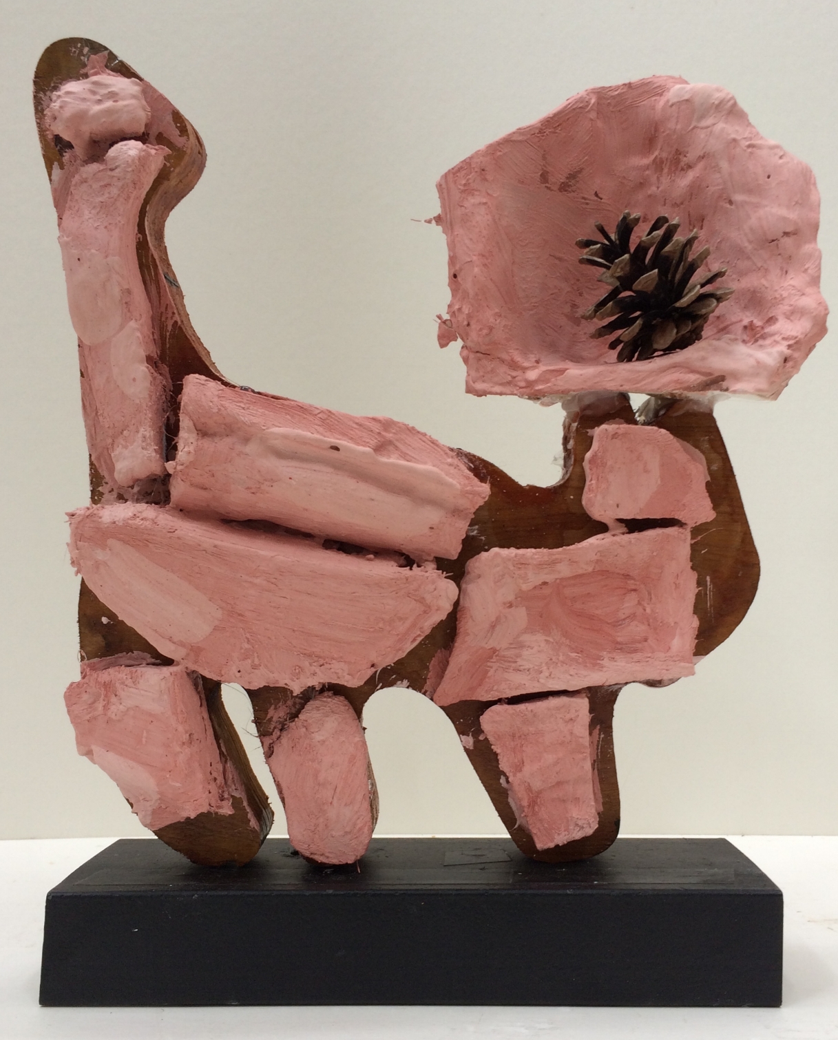 grotto head with opened tree cone