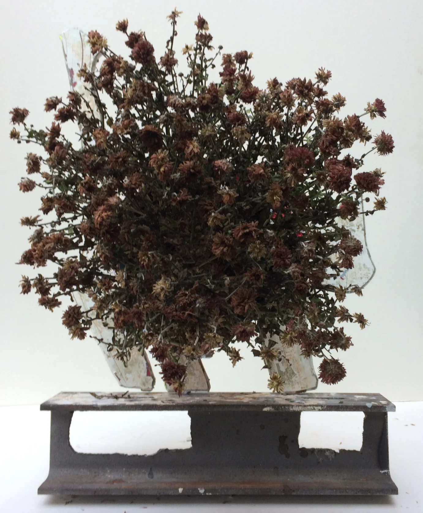 I think they were red ones