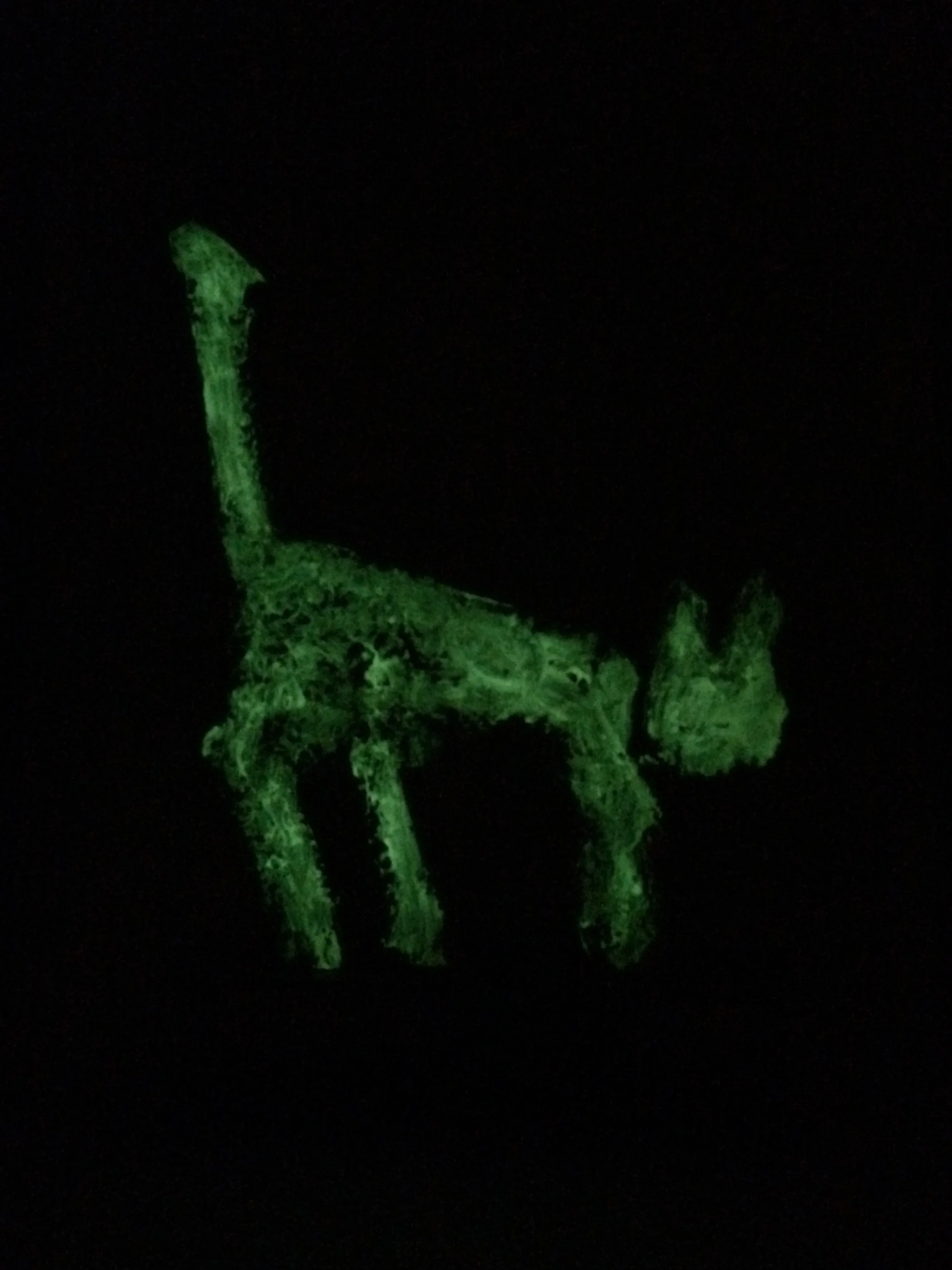 the walk home at night