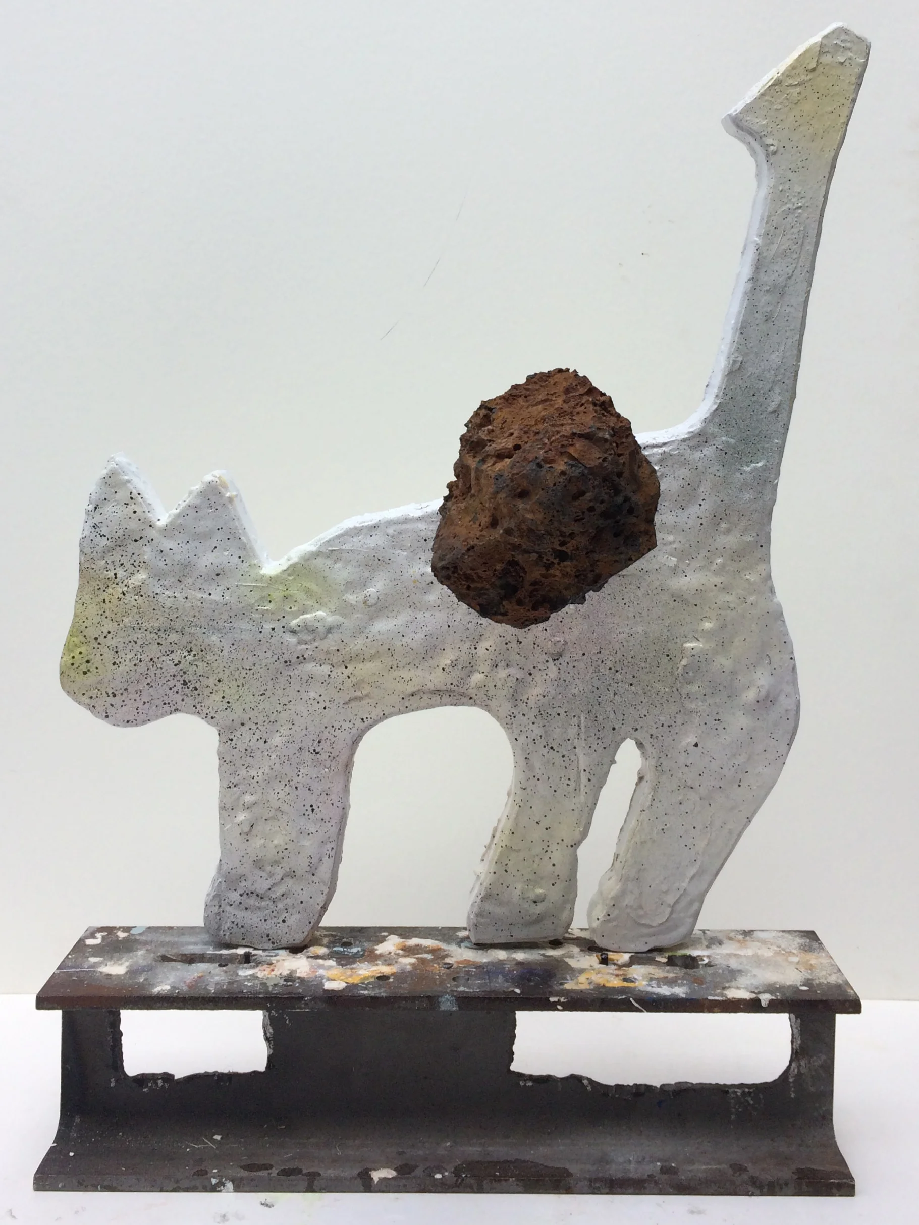 a meteor landed in trenton, n.j.  no one was injured.