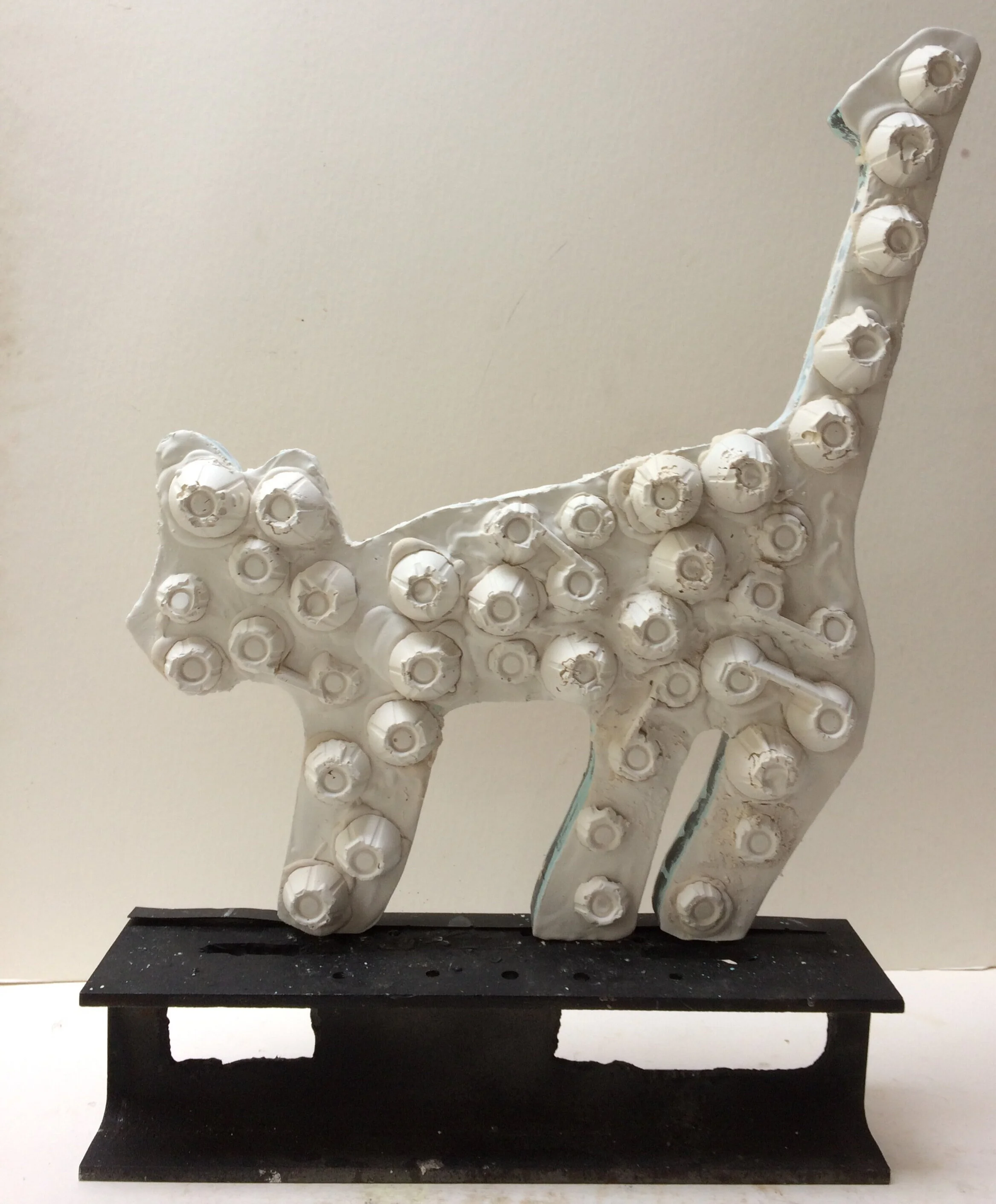 one eye, two eyes, four eyes