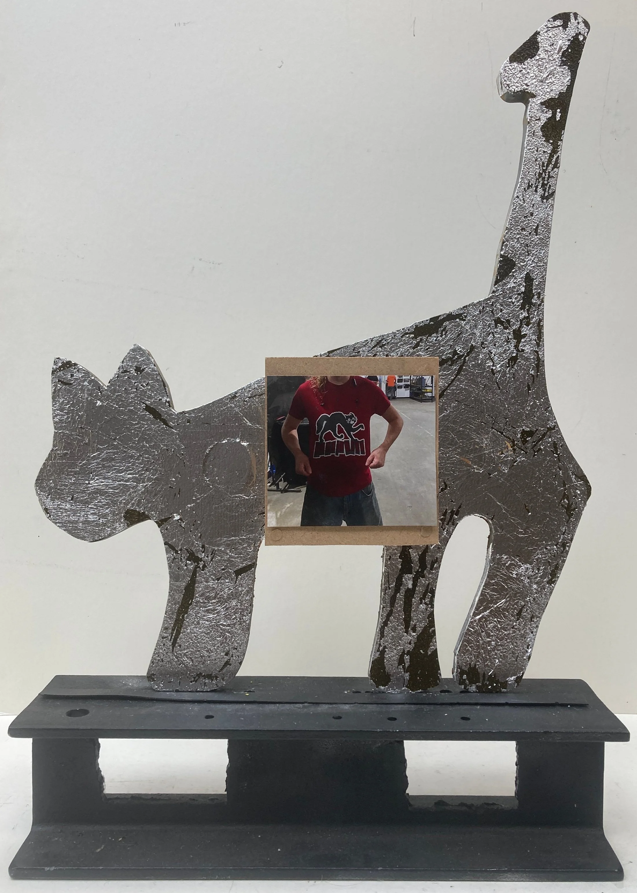 Justin - Kensington Cat Man Do