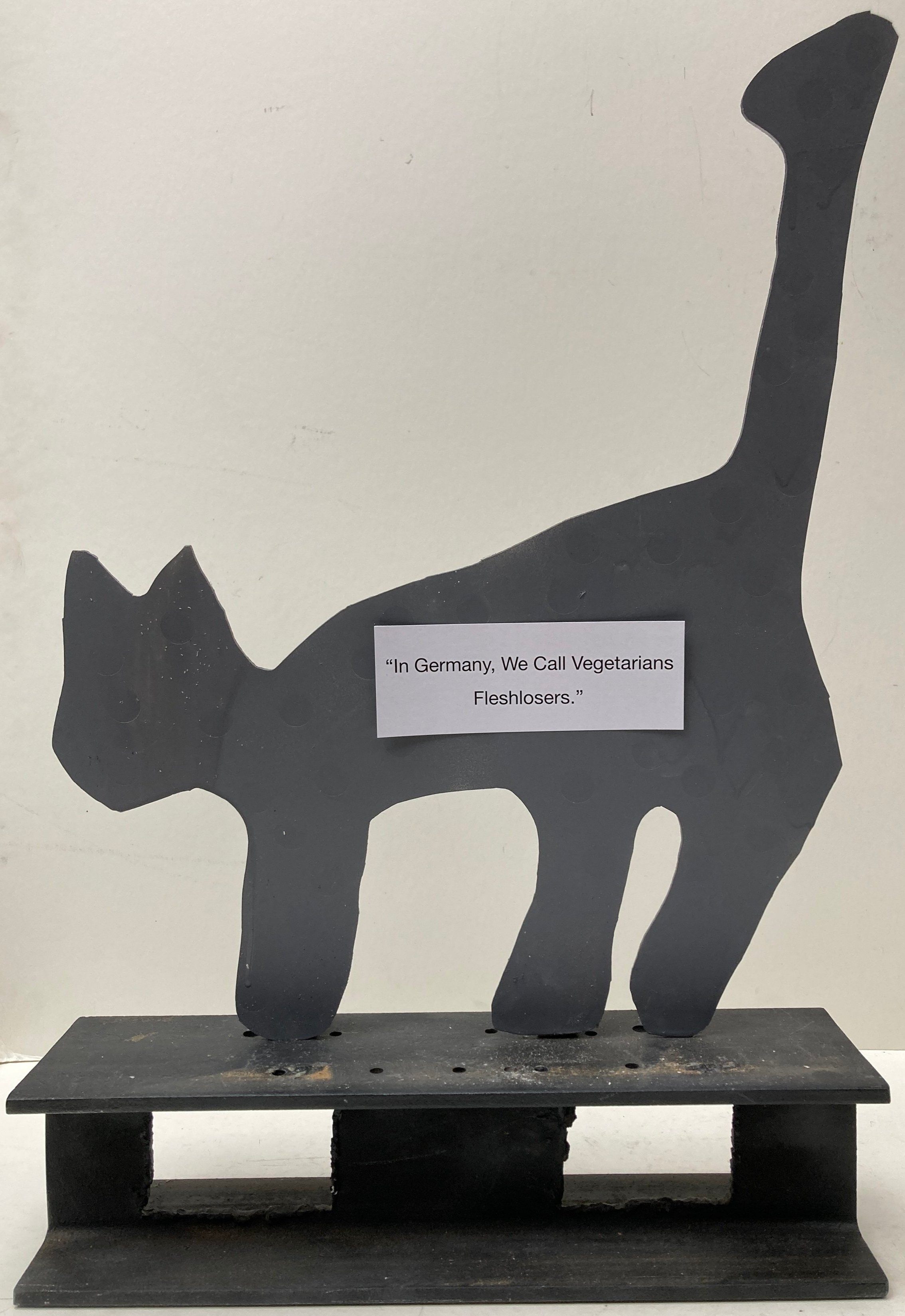 late thirties - Peace Corps