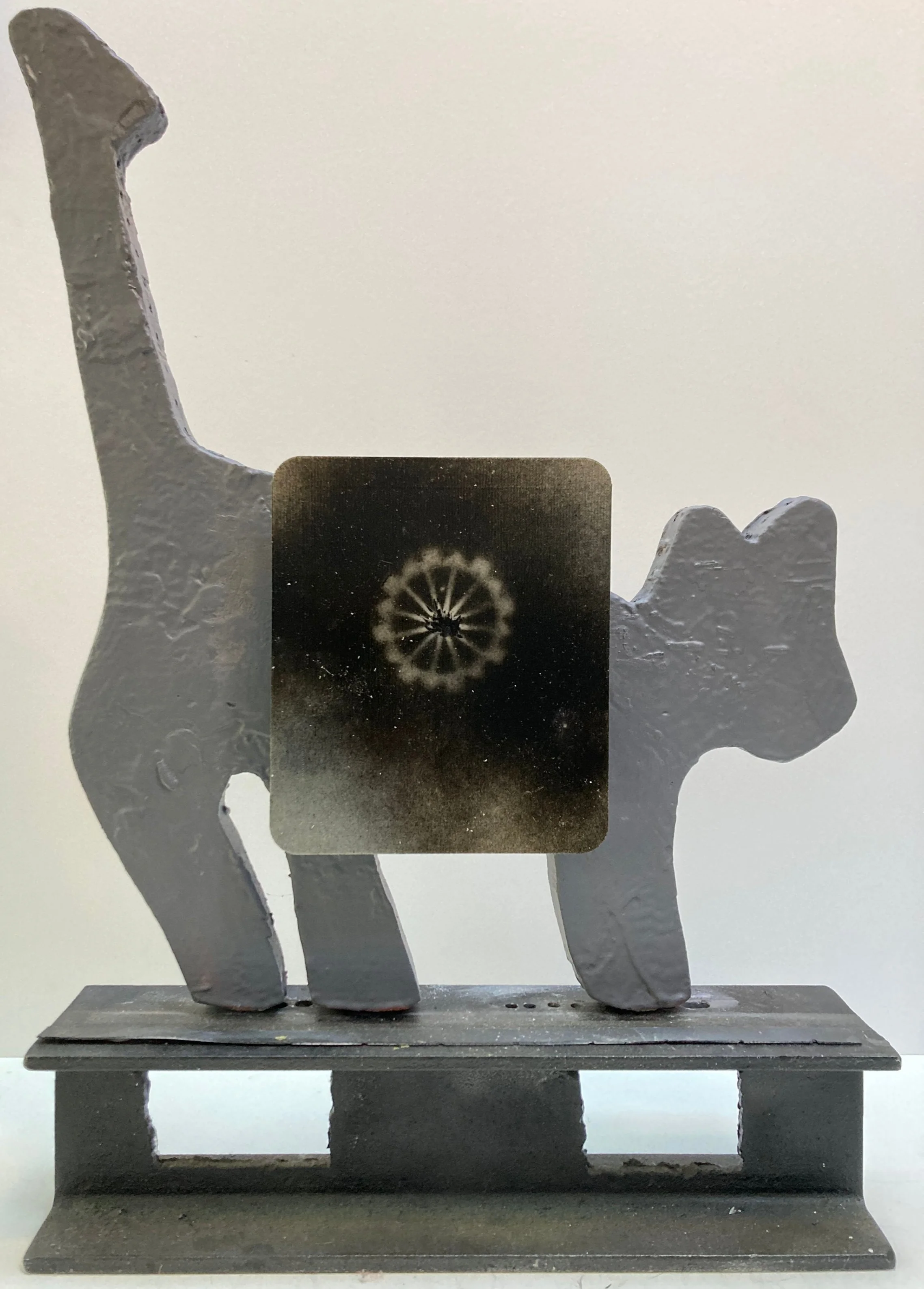 neg. bomb shadow no. 1 (jarred preserves plunger)