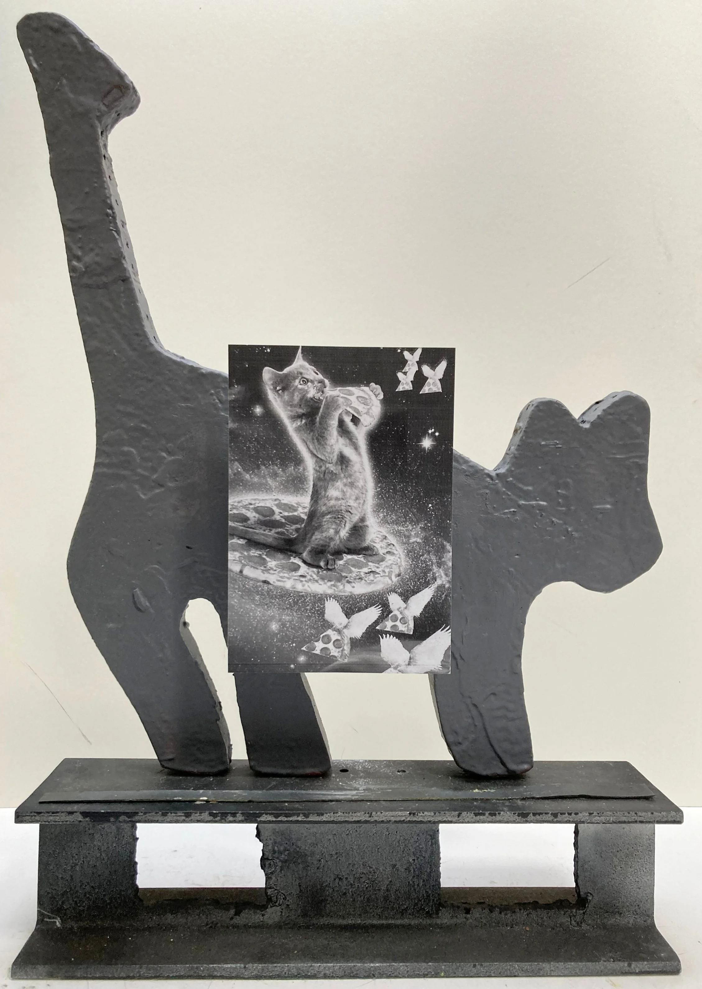 kittens, pizza, space