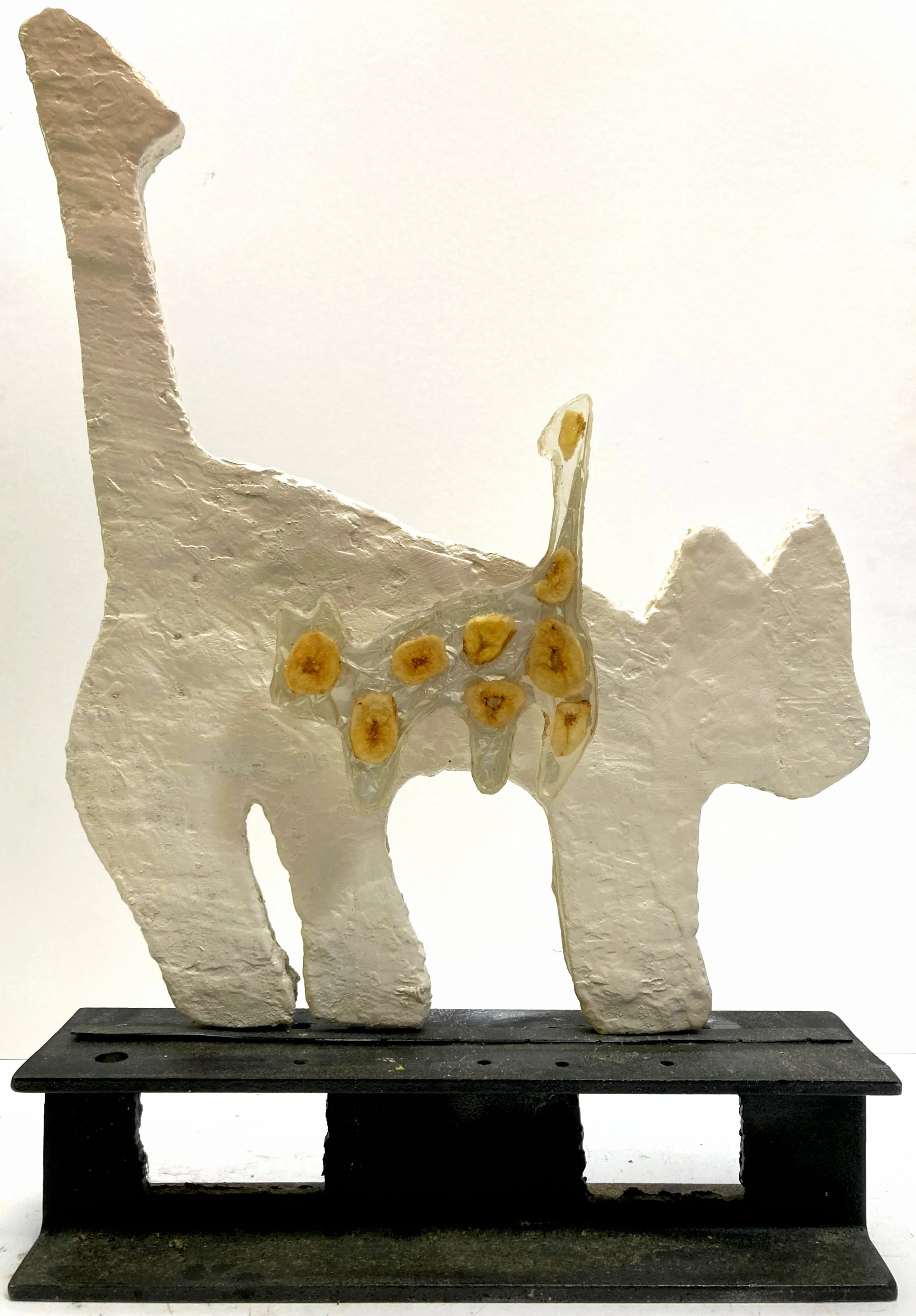 acrylic with dried banana chips