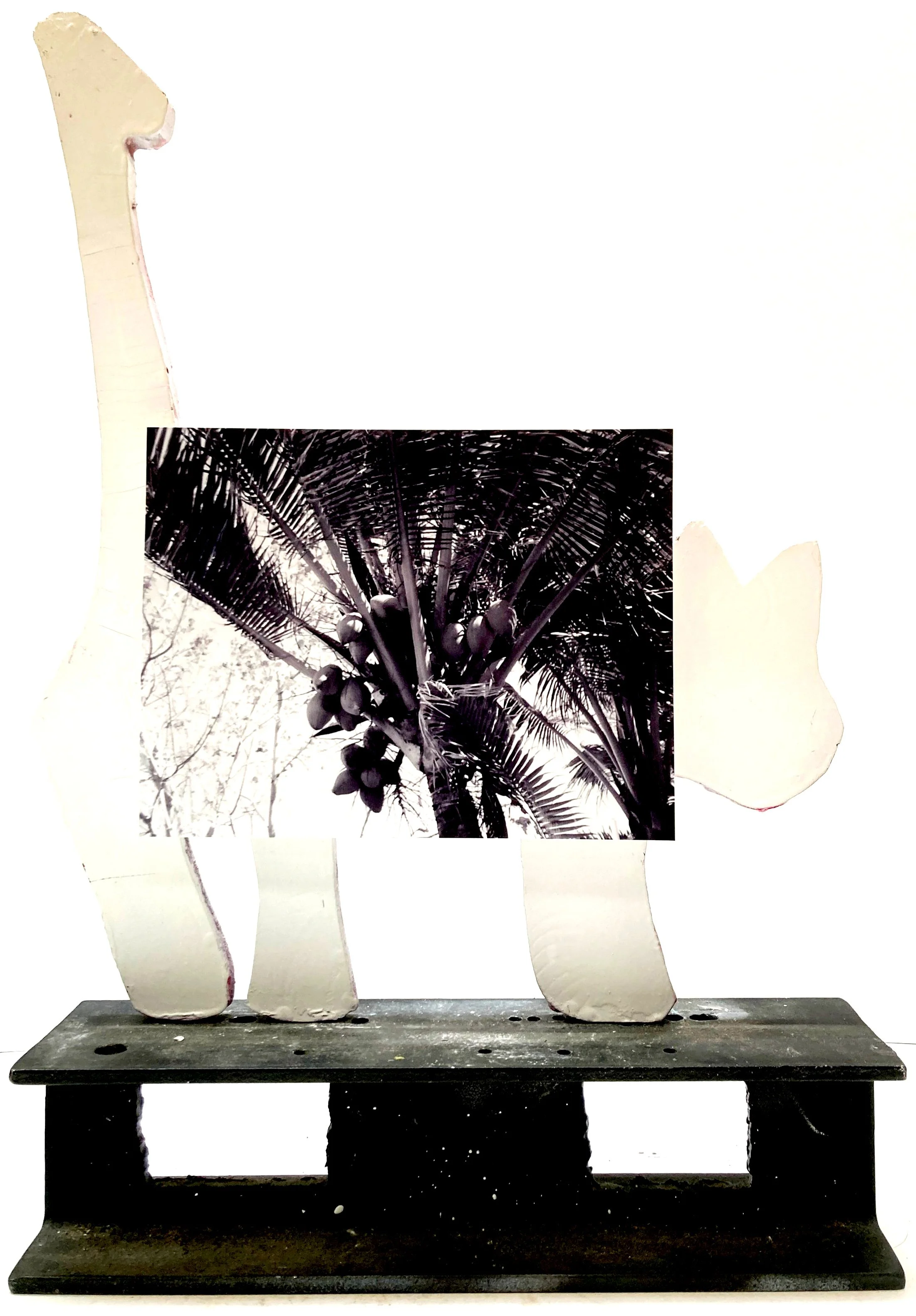 Papua New Guinea month 15