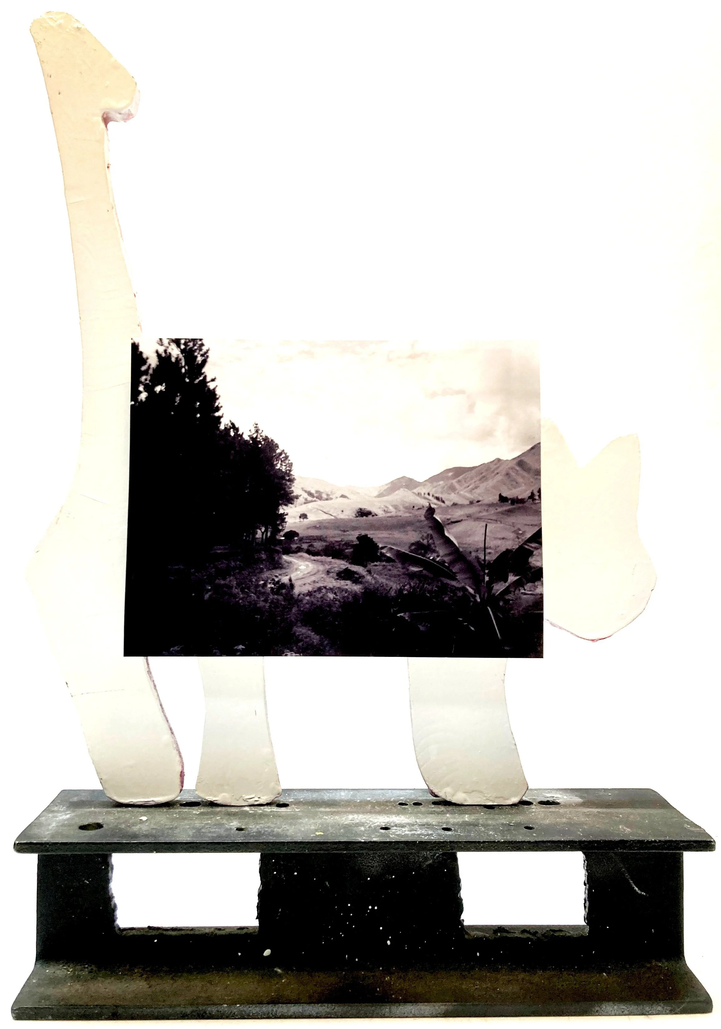 Papua New Guinea month 11