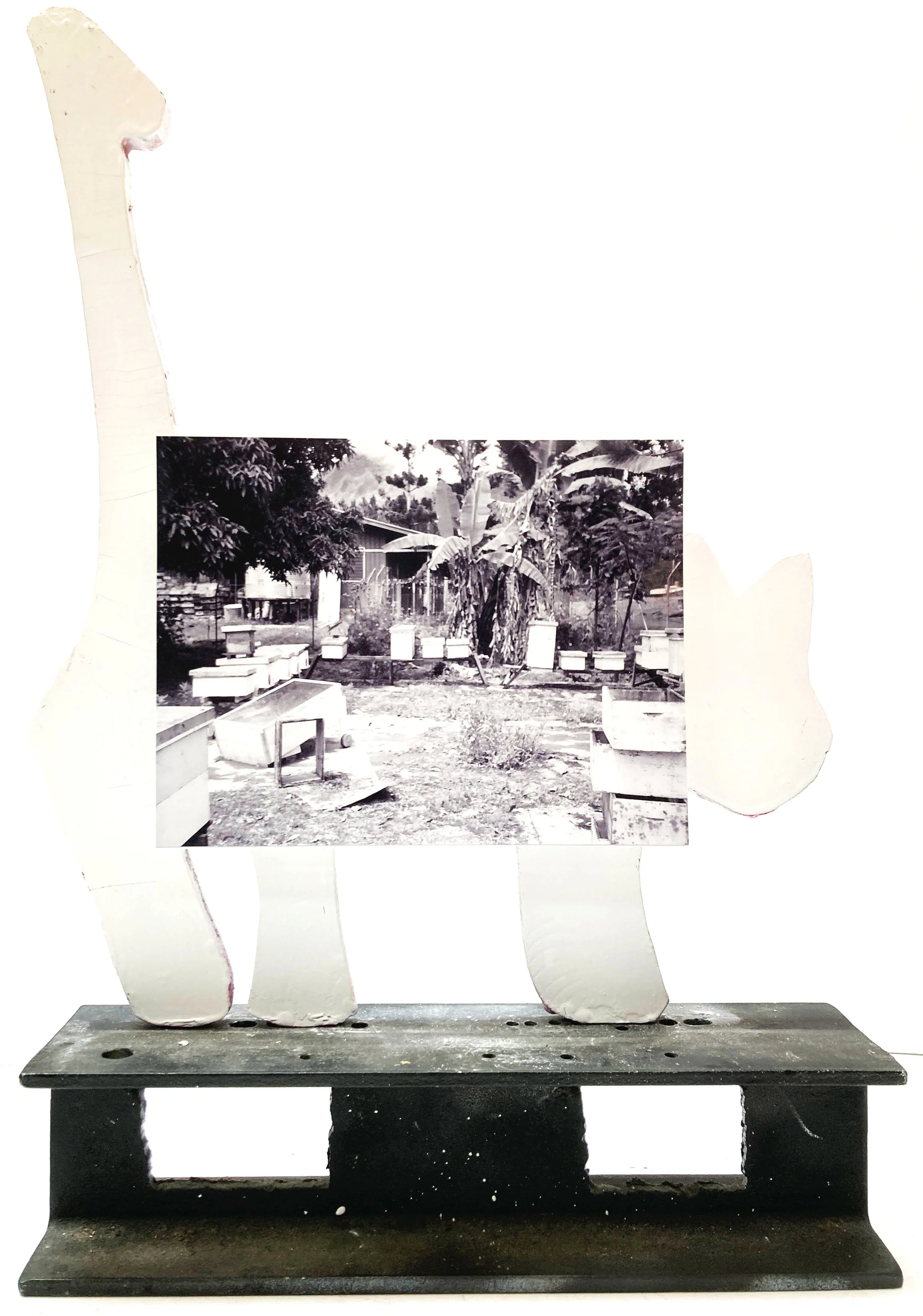 Papua New Guinea month 17