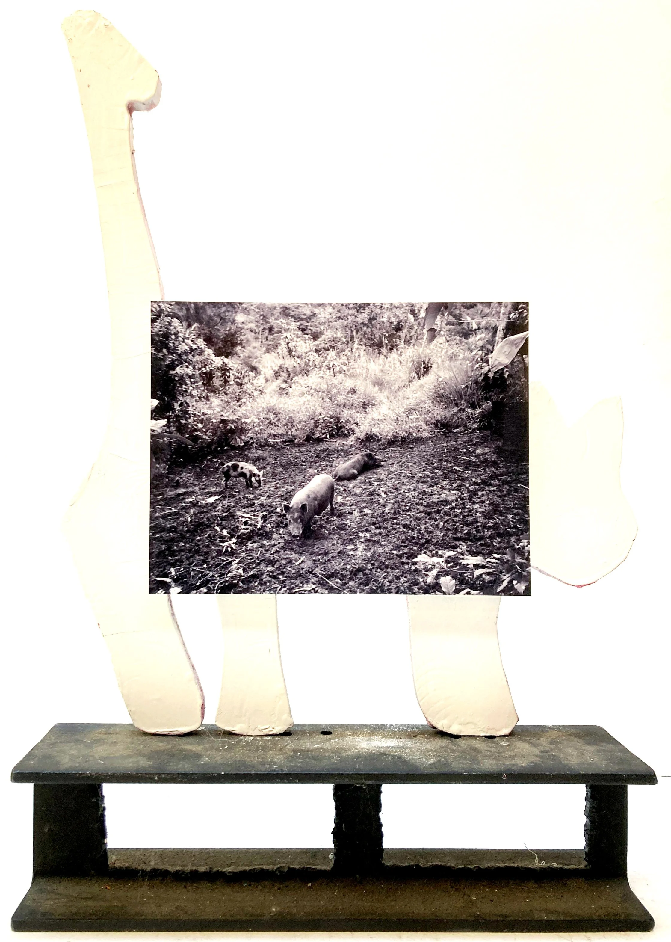 Papua New Guinea month 21