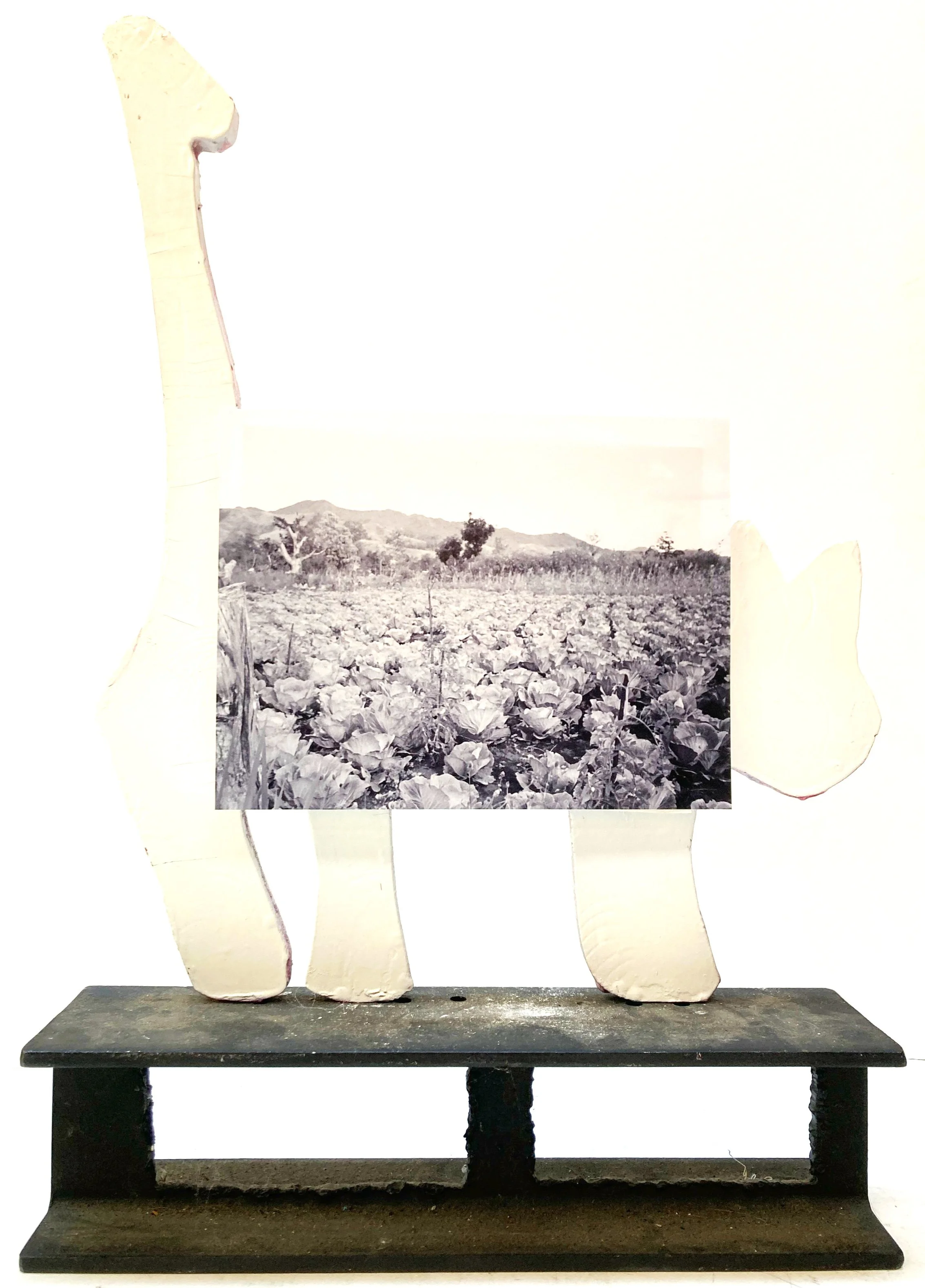 Papua New Guinea month 22