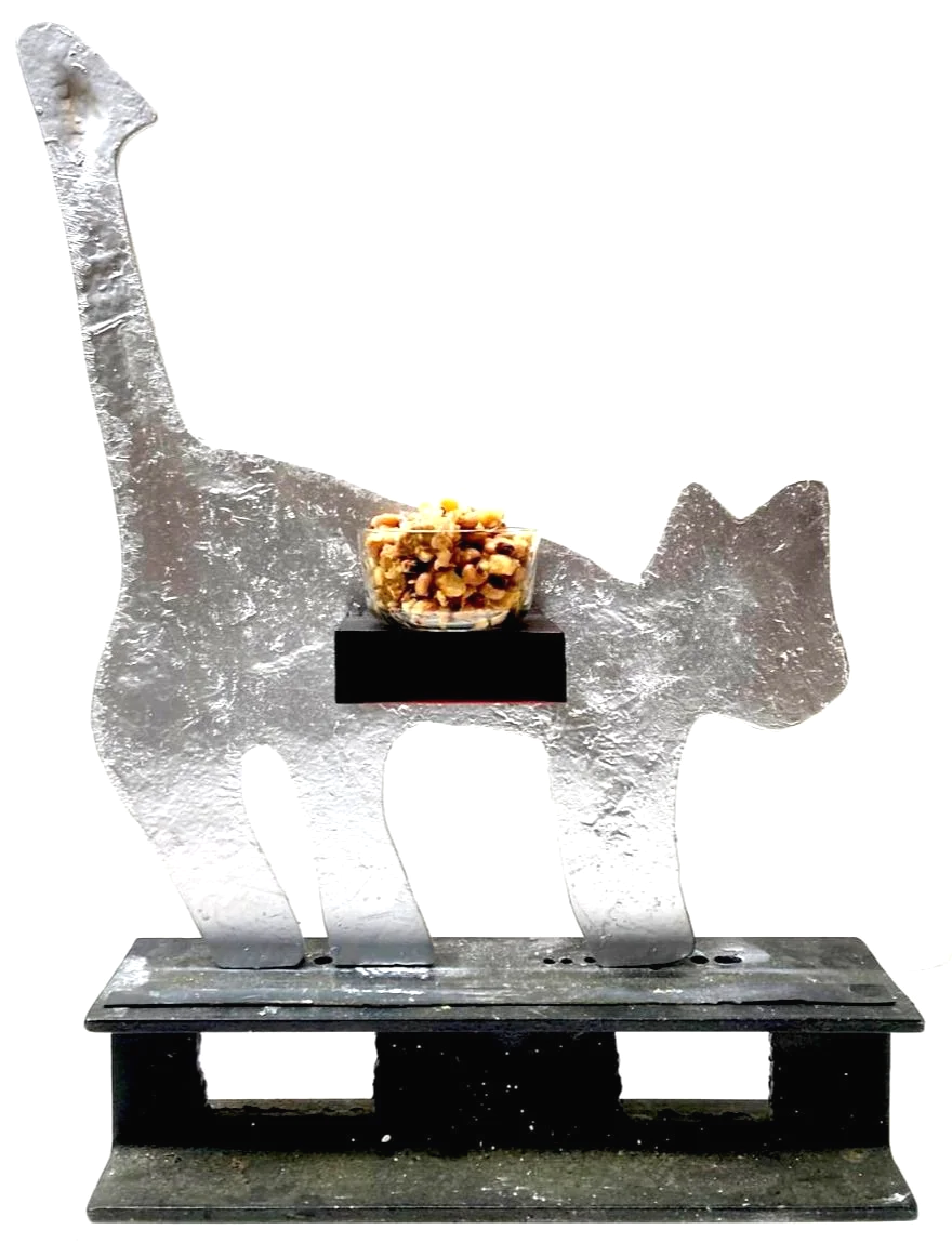 another healthty year ahead