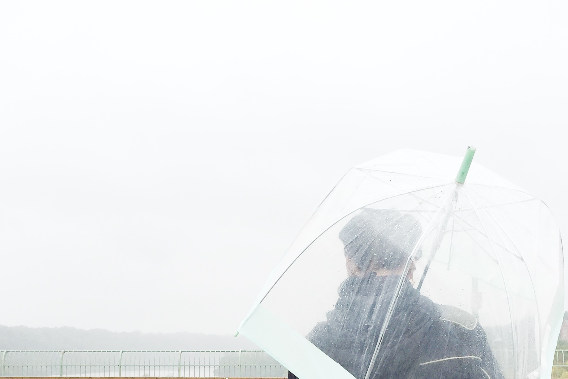 francis scott key bridge; photo of nicole (@ nicoleeboni )