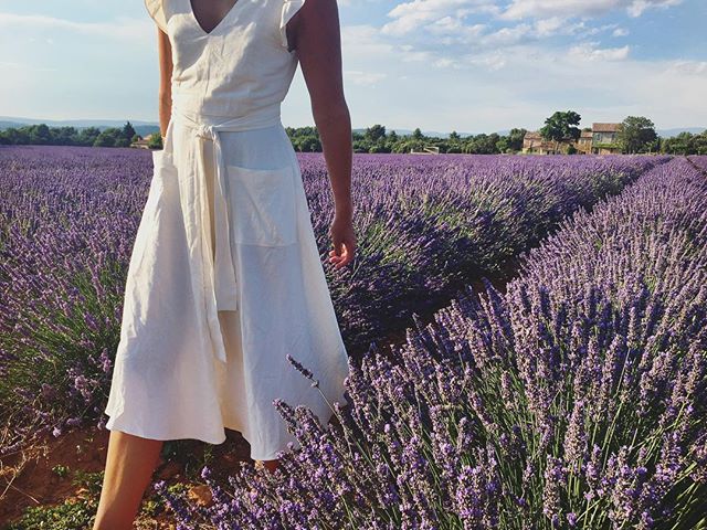 Lavender fields outside Bonnieux.