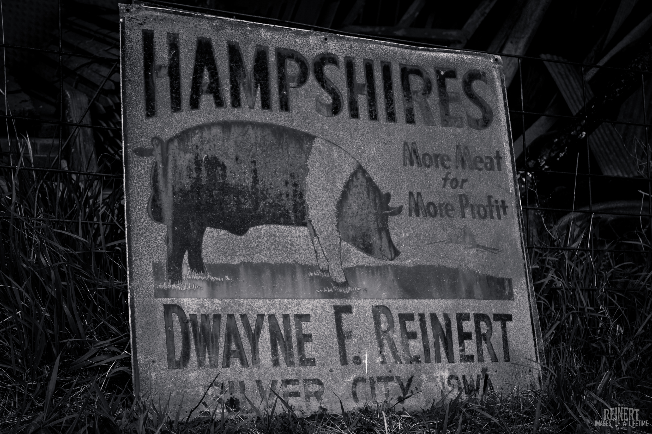 Reinert Hampshires