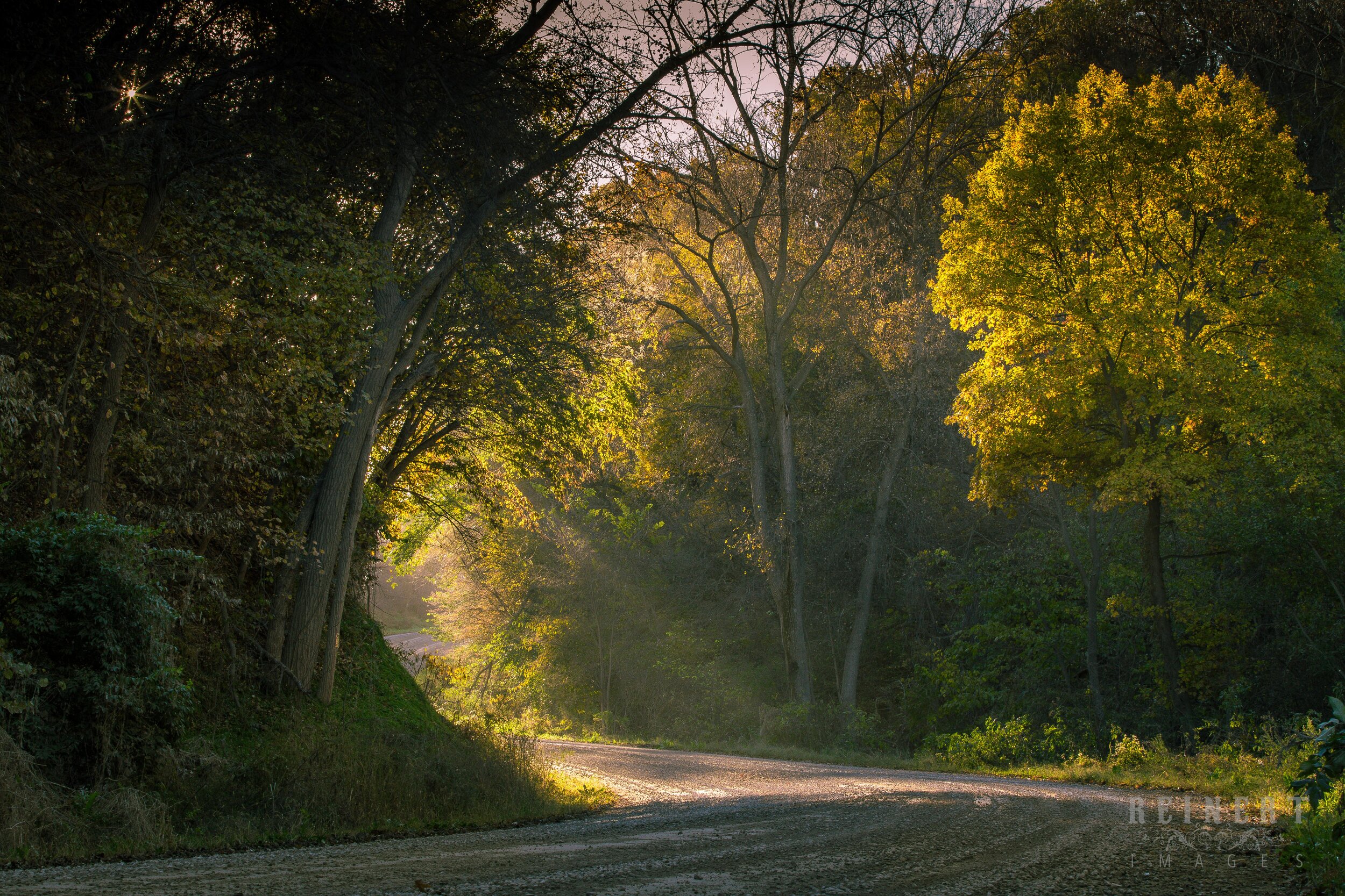 Take a Back Road