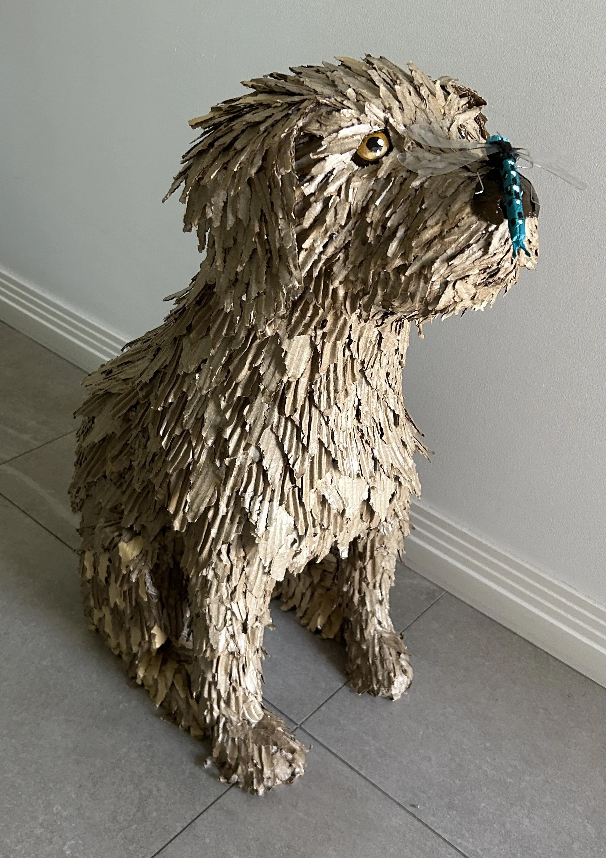 Molly $1600