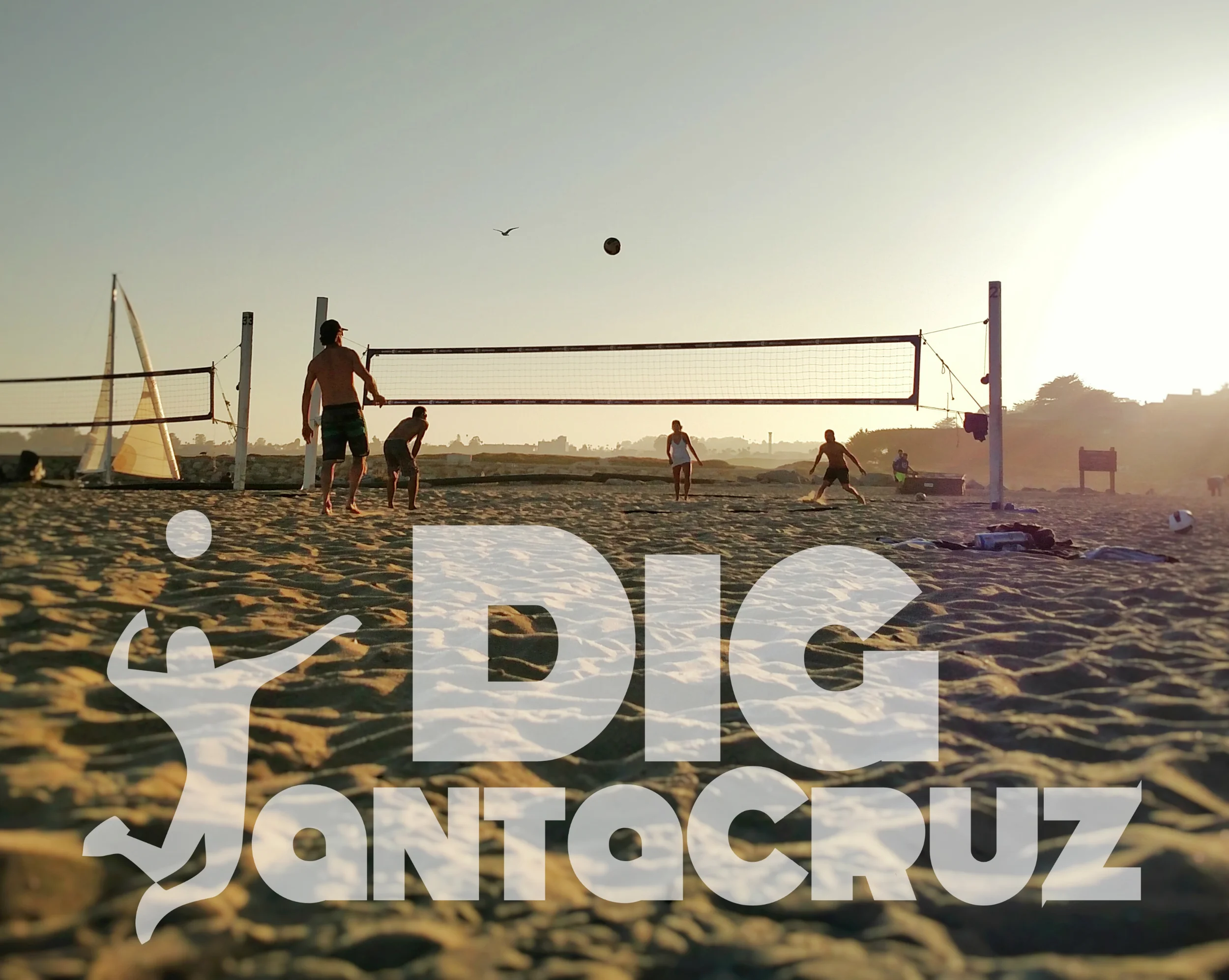 Welcome to DigSantaCruz